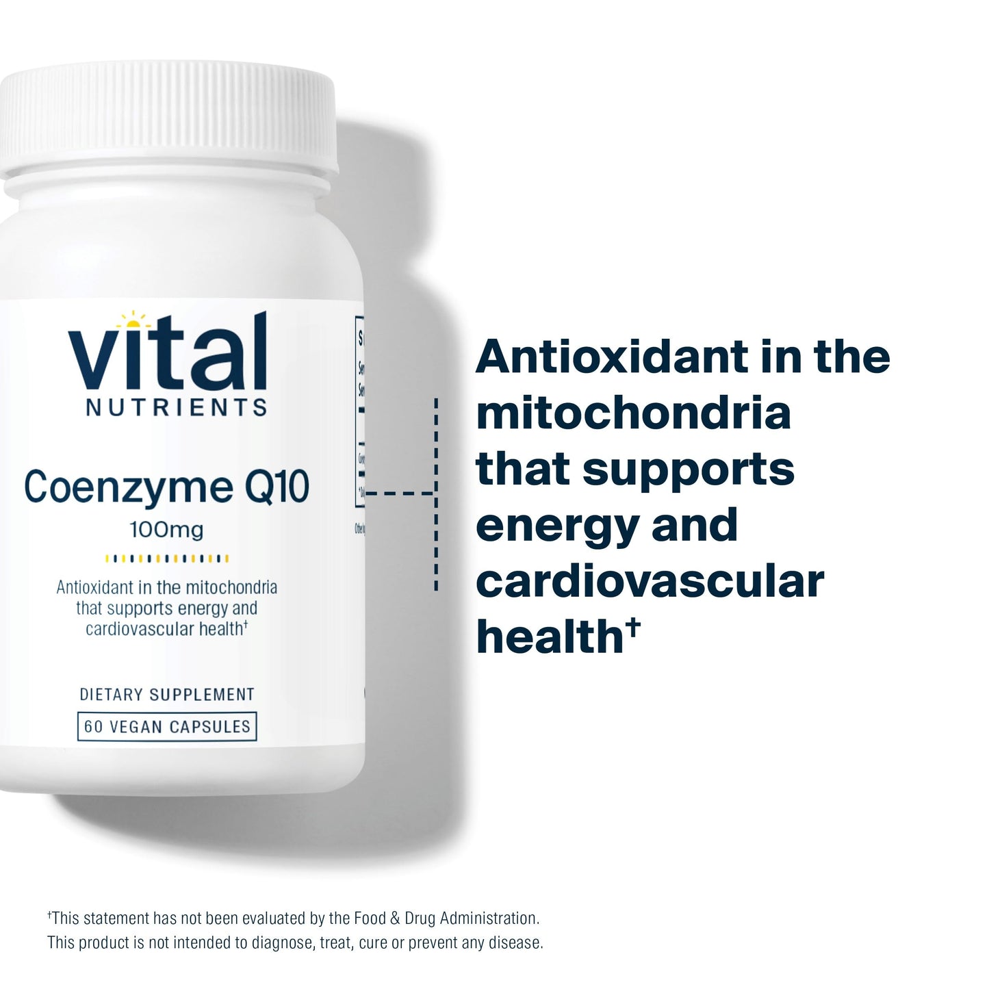 Vital Nutrients CoQ10 100mg โ Vegan CoQ10 Supplement | Heart Health & Energy