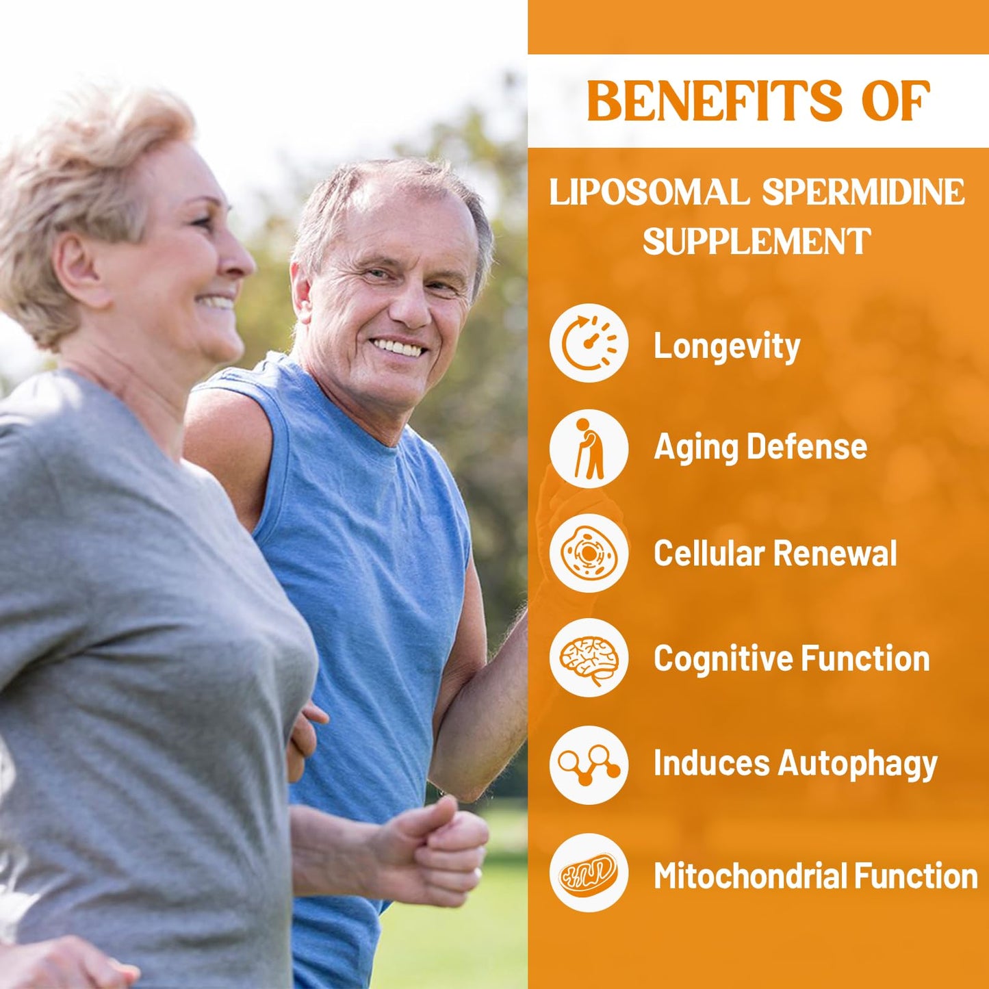 CORPORALIGHT 30mg Spermidine Supplement β High Absorption Liposome Delivery, Fermented Wheat Germ Extract, 180 Softgels
