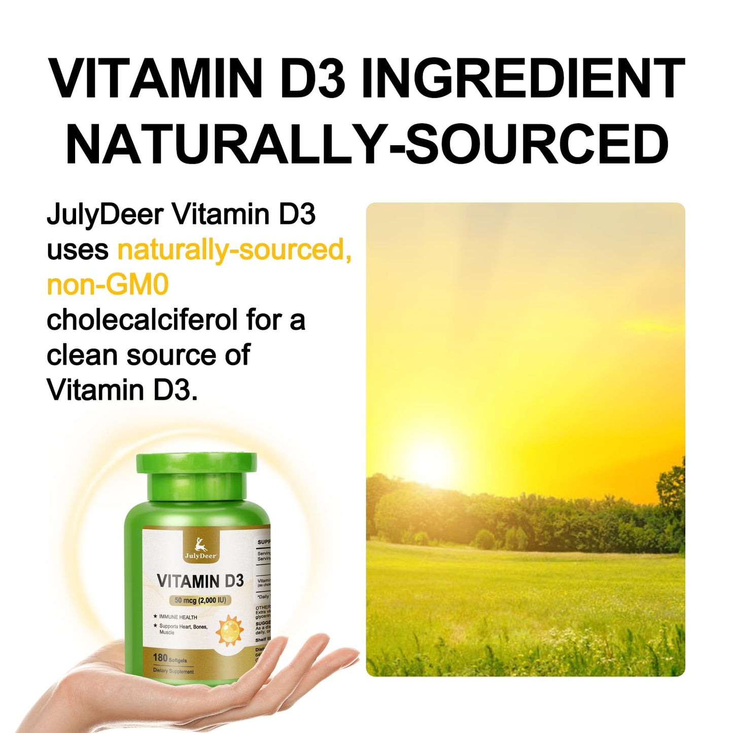 Vitamin D3 2000 IU (50 mcg) 360 Softgels โ Immune & Bone Health | Non-GMO, Gluten-Free