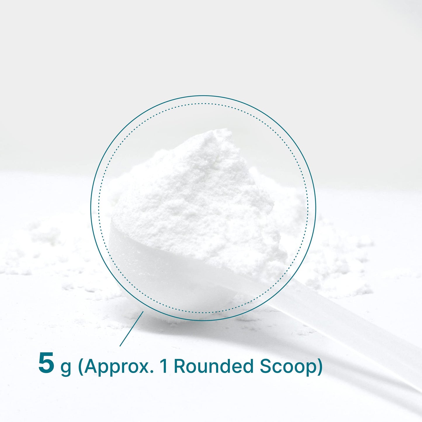 Deal Supplement Creatine Monohydrate Powder โ 60 Servings, Unflavored, Micronized