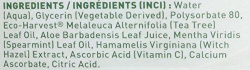 Desert Essence Tea Tree Oil Mouthwash โ Spearmint 16 oz (2 Pack)