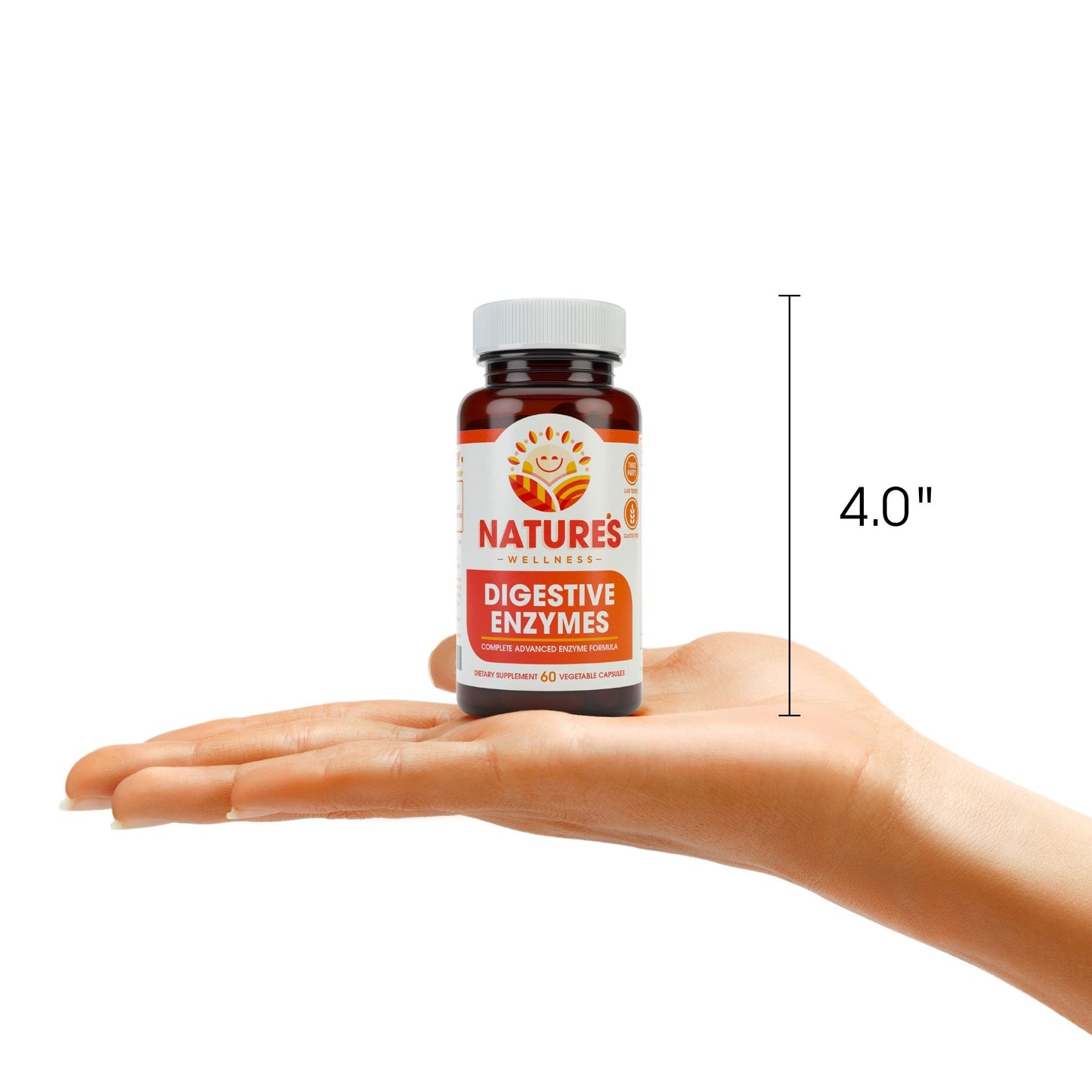 Digestive Enzymes Complete โ Advanced Multi Enzyme Supplement for Better Digestion & Absorption