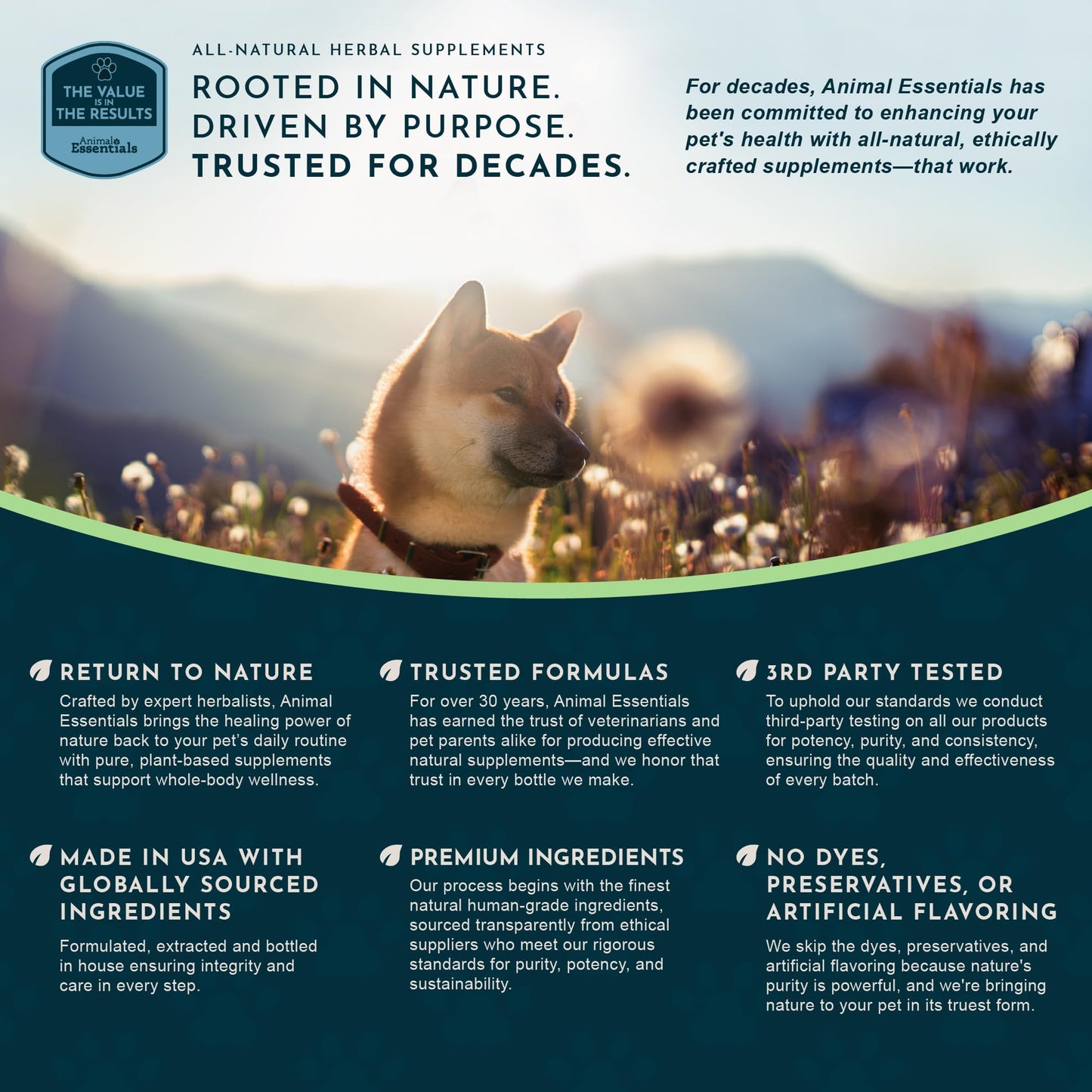 Animal Essentials Hawthorn Berry Supplement for Dogs & Cats โ Heart Health Support