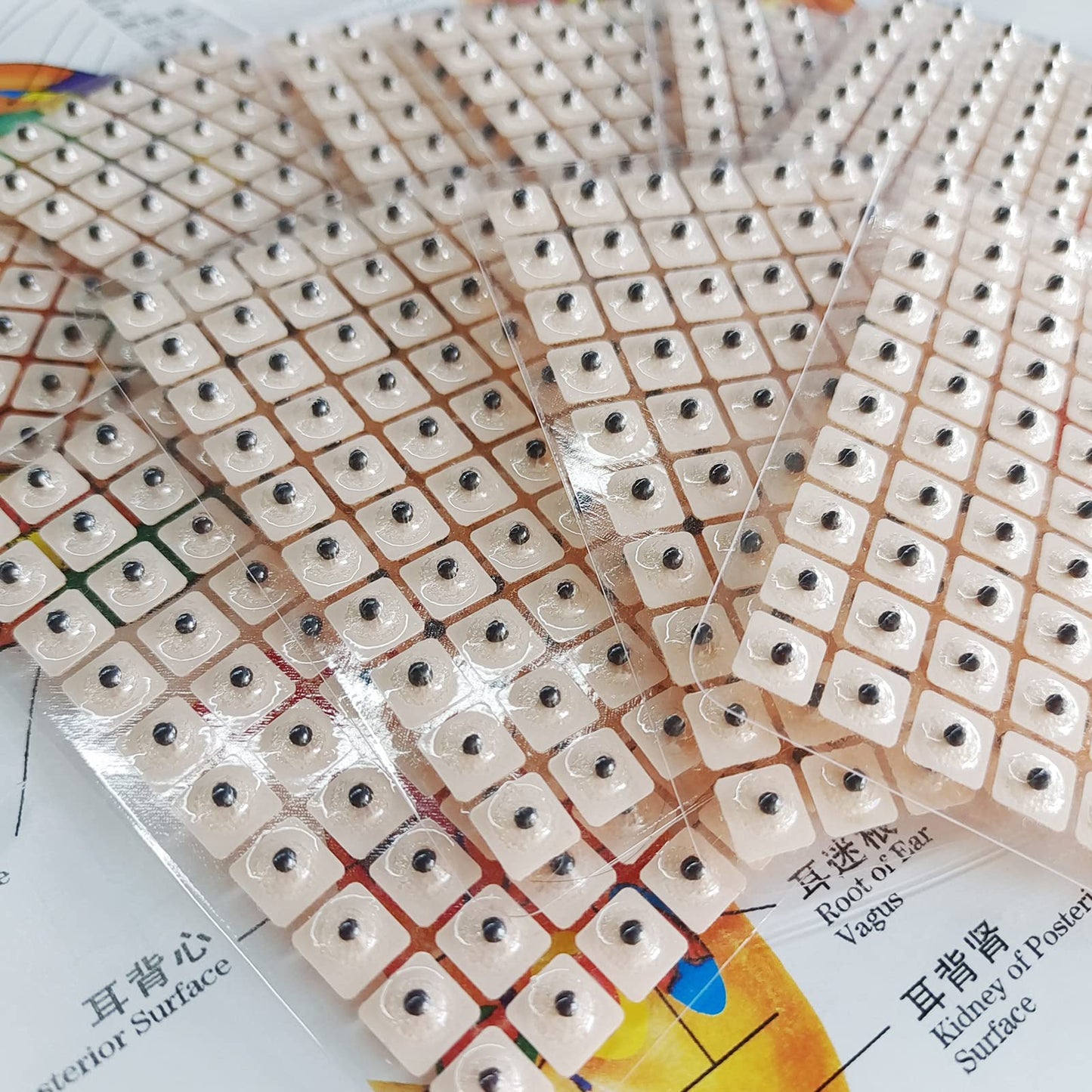 Ear Seeds Acupuncture Kit โ 600 Pcs with Ear Points Chart & Tweezers