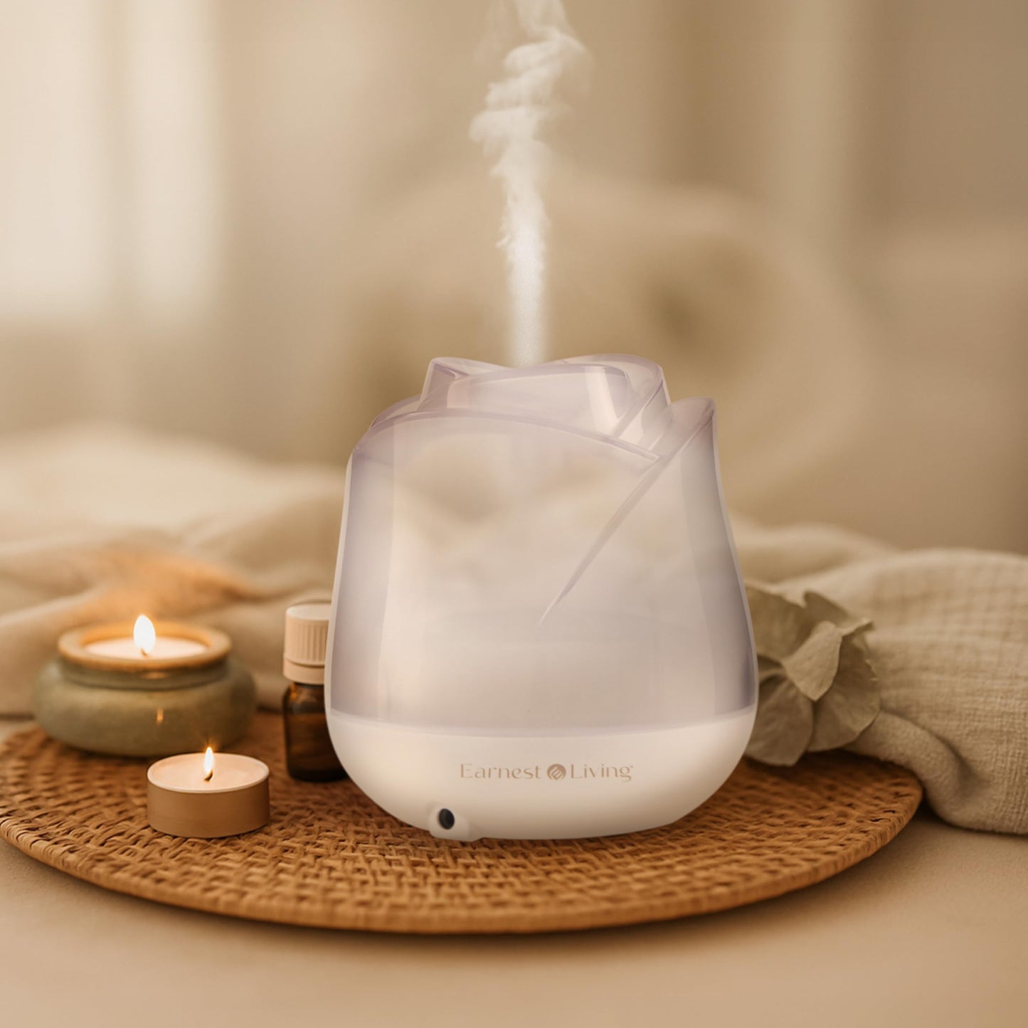 Earnest Living Rose Essential Oil Diffuser 150ml โ USB Ultrasonic Humidifier, Frosted White