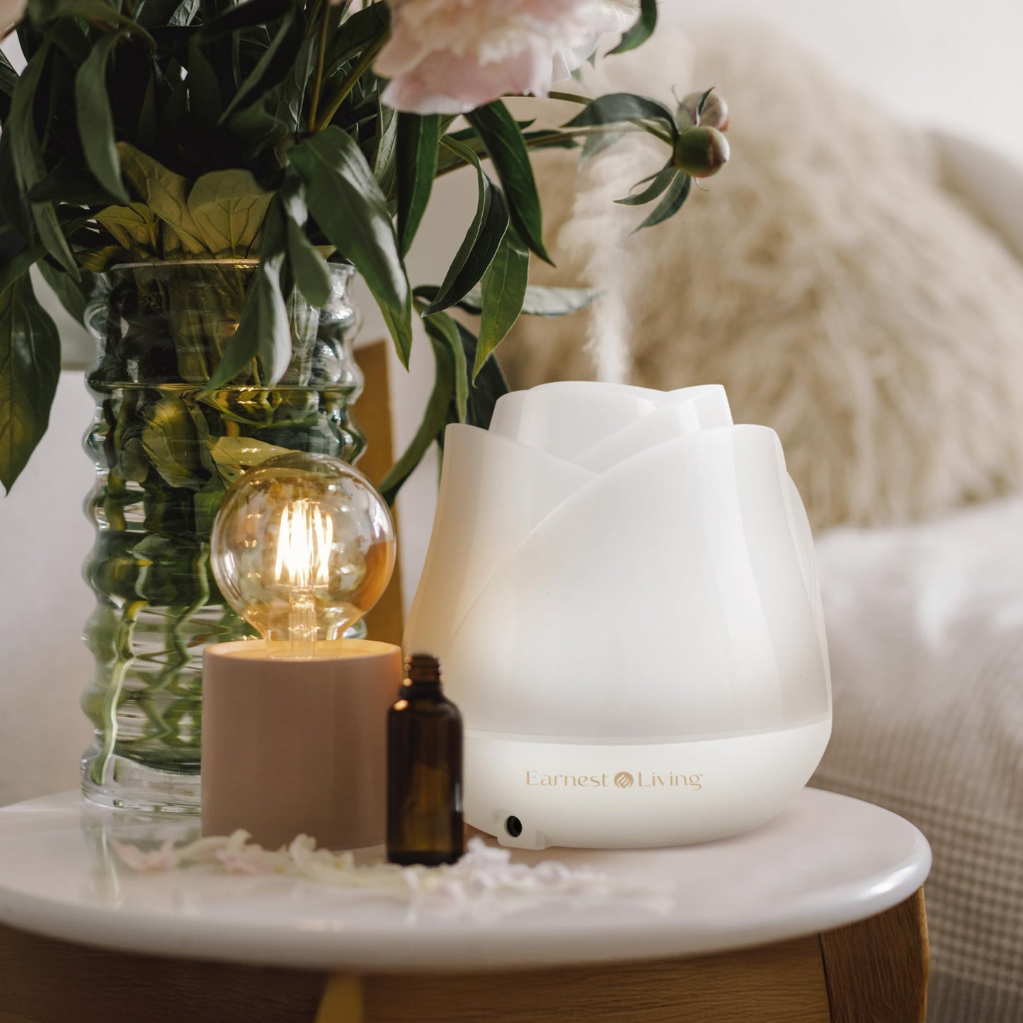 Earnest Living Rose Diffuser 150ml โ Mini USB Ultrasonic Humidifier, Quiet Night Light