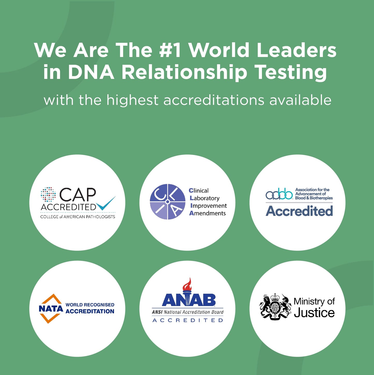 HomePaternity Grandparent DNA Test β Fast Results, 34 Markers, All Fees Included