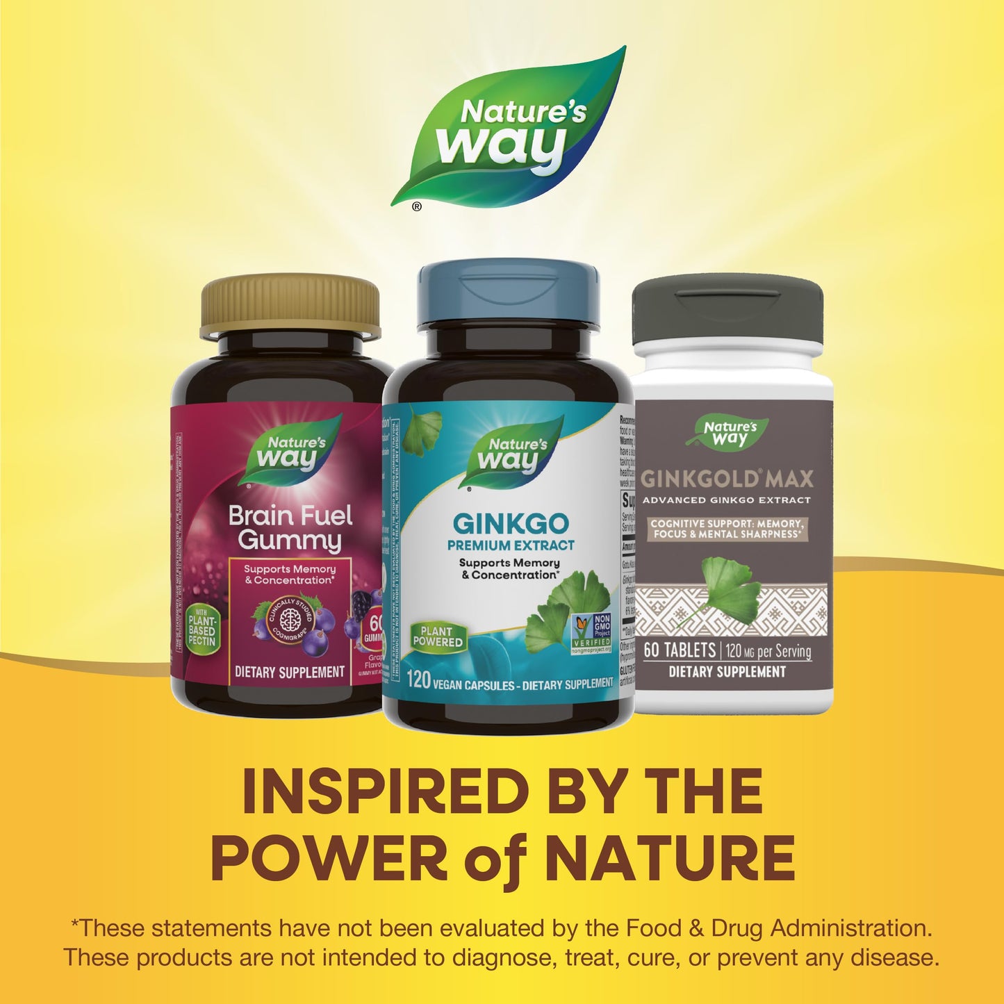 Nature's Way Premium Ginkgo Memory & Concentration โ 120 Capsules