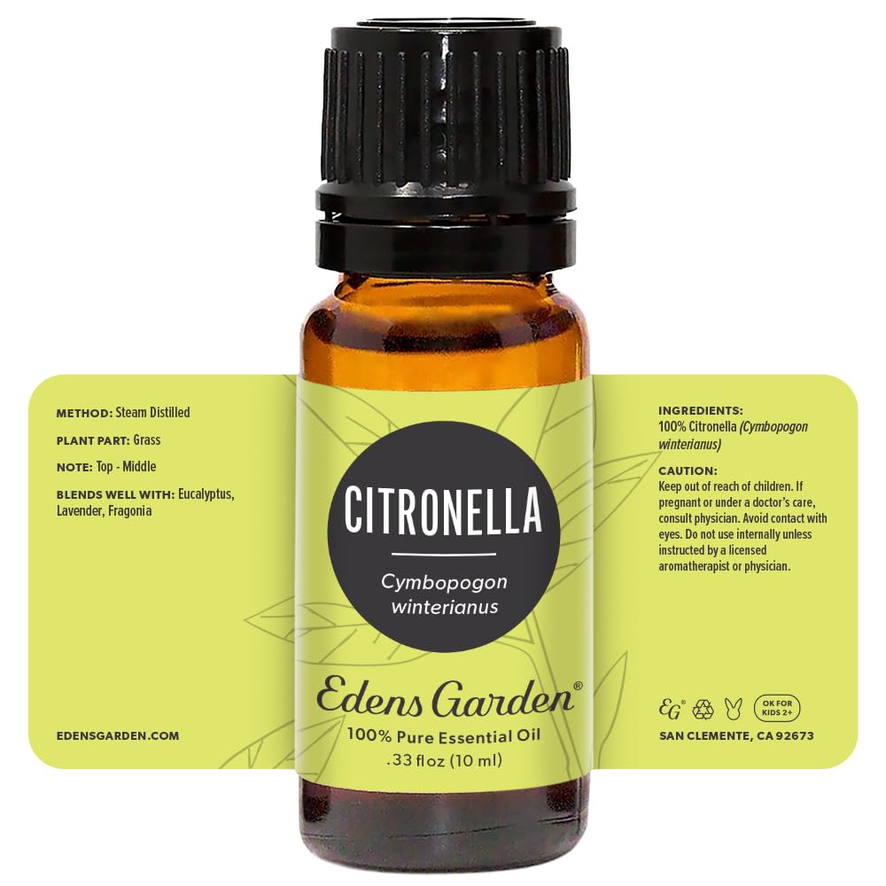 Edens Garden Citronella Essential Oil โ 100% Pure Premium Grade, Undiluted, 10 ml