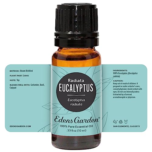 Edens Garden Eucalyptus Radiata Essential Oil โ 100% Pure, Premium Grade, 10 ml