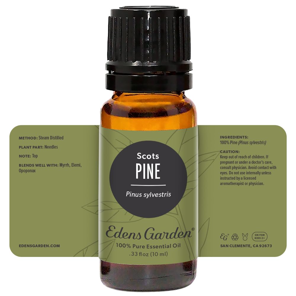 Edens Garden Pine-Scots Essential Oil โ 100% Pure, Premium 10 ml