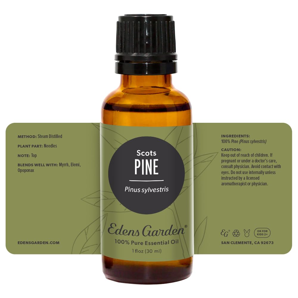 Edens Garden Pine-Scots Essential Oil โ 100% Pure Premium Grade (30 ml)