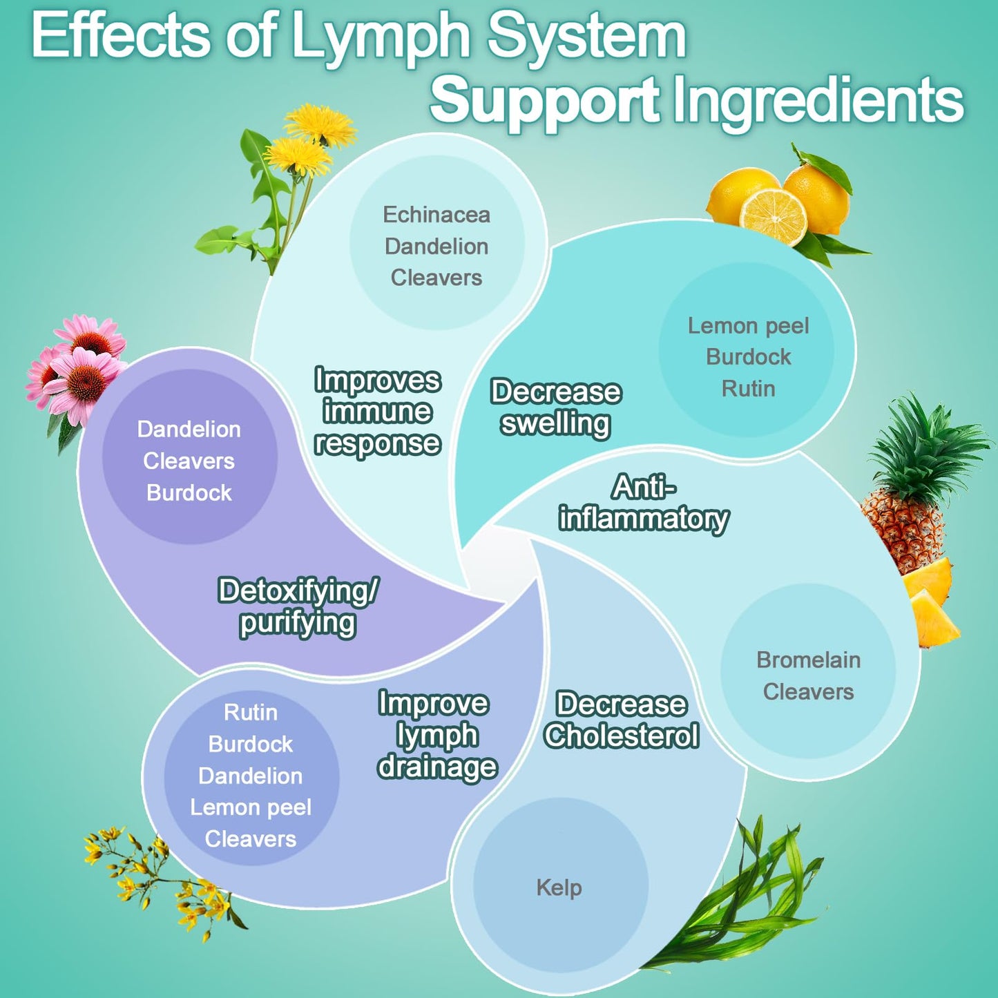 EOCUTE Lymph System Support Supplement with Dandelion Extract, Cleavers & Burdock Powder โ 60 Count