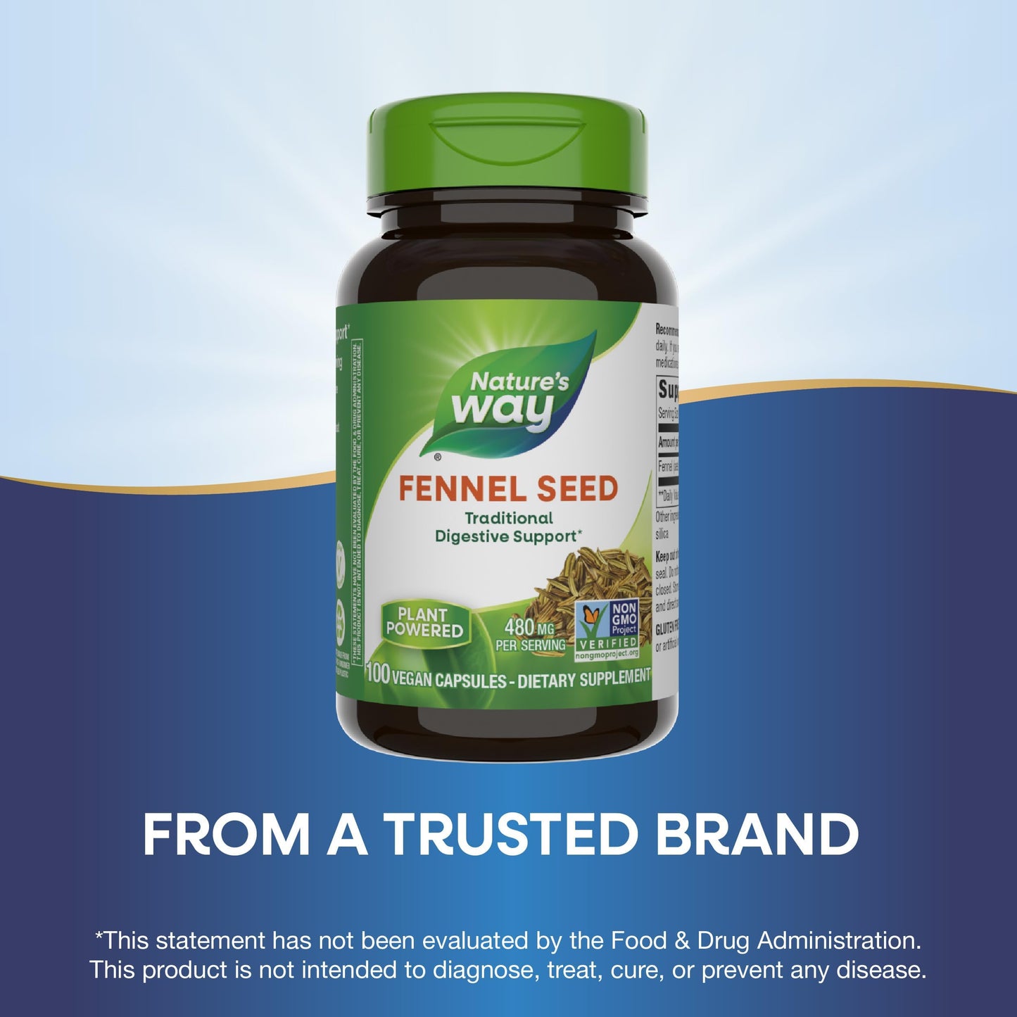 Nature's Way Fennel Seed โ Digestive Support, 480 mg, 100 Capsules