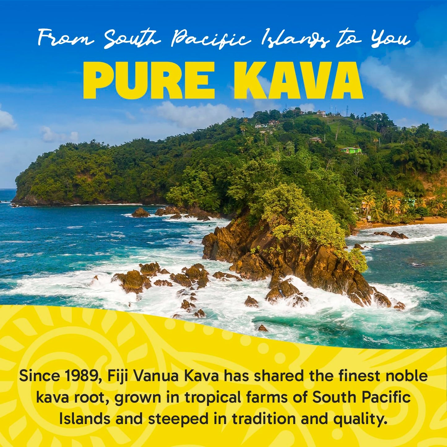 Fiji Vanua Kava Vanuatu Powder β Premium Noble Kava Root, Medium Grind, 16 oz