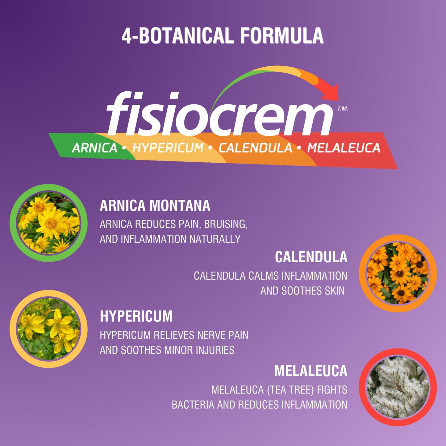 Fisiocrem Liquid Gold โ Concentrated Massage Serum (50 ml)