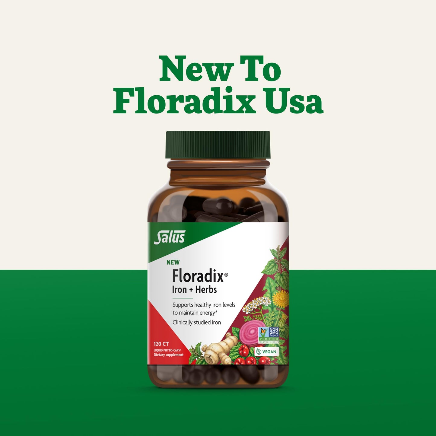 Floradix Iron + Herbs โ Vegan Liquid Iron for Energy Support (120 Phyto-Caps)