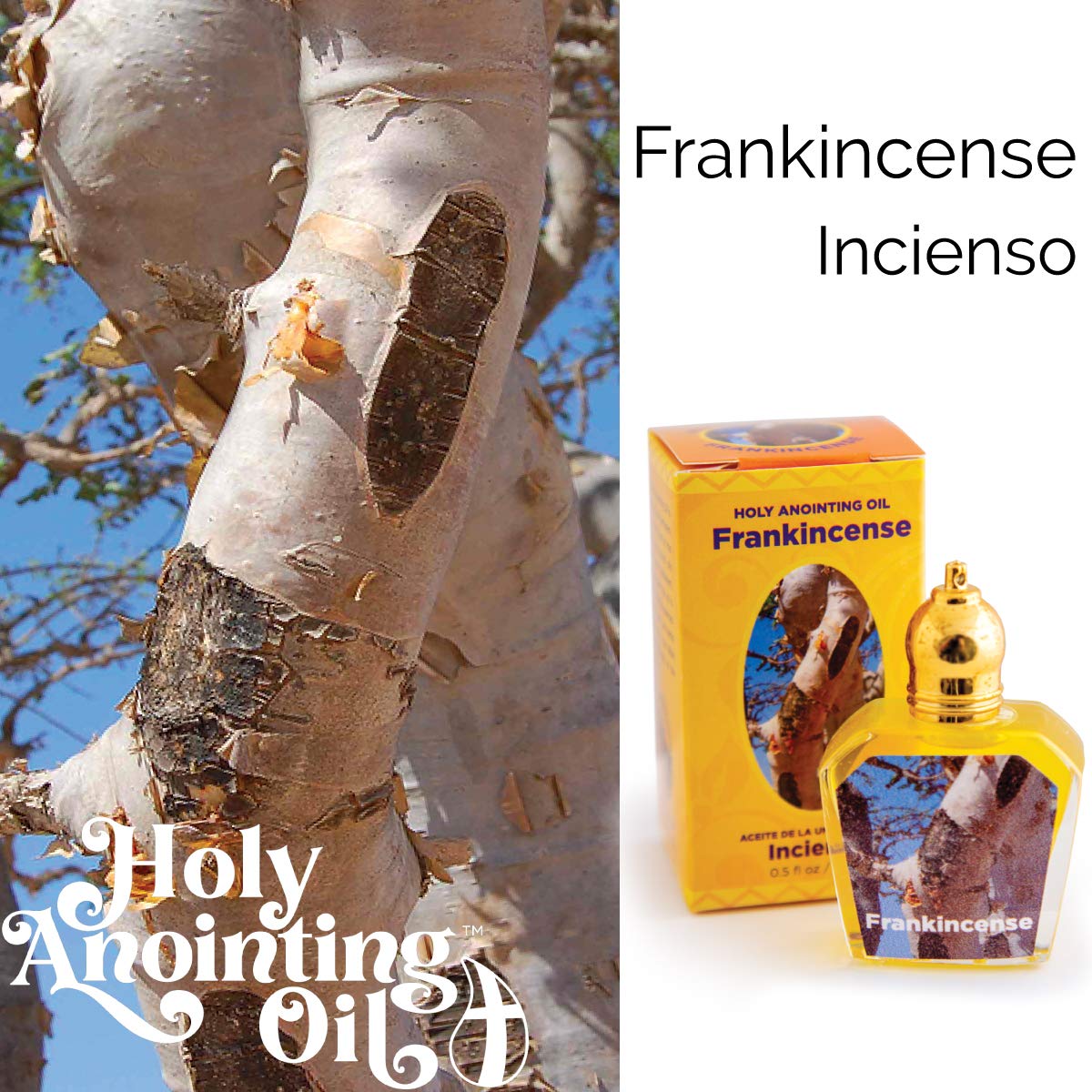 Frankincense Holy Land Anointing Oil from Jerusalem โ 1/2 oz Roller Bottle
