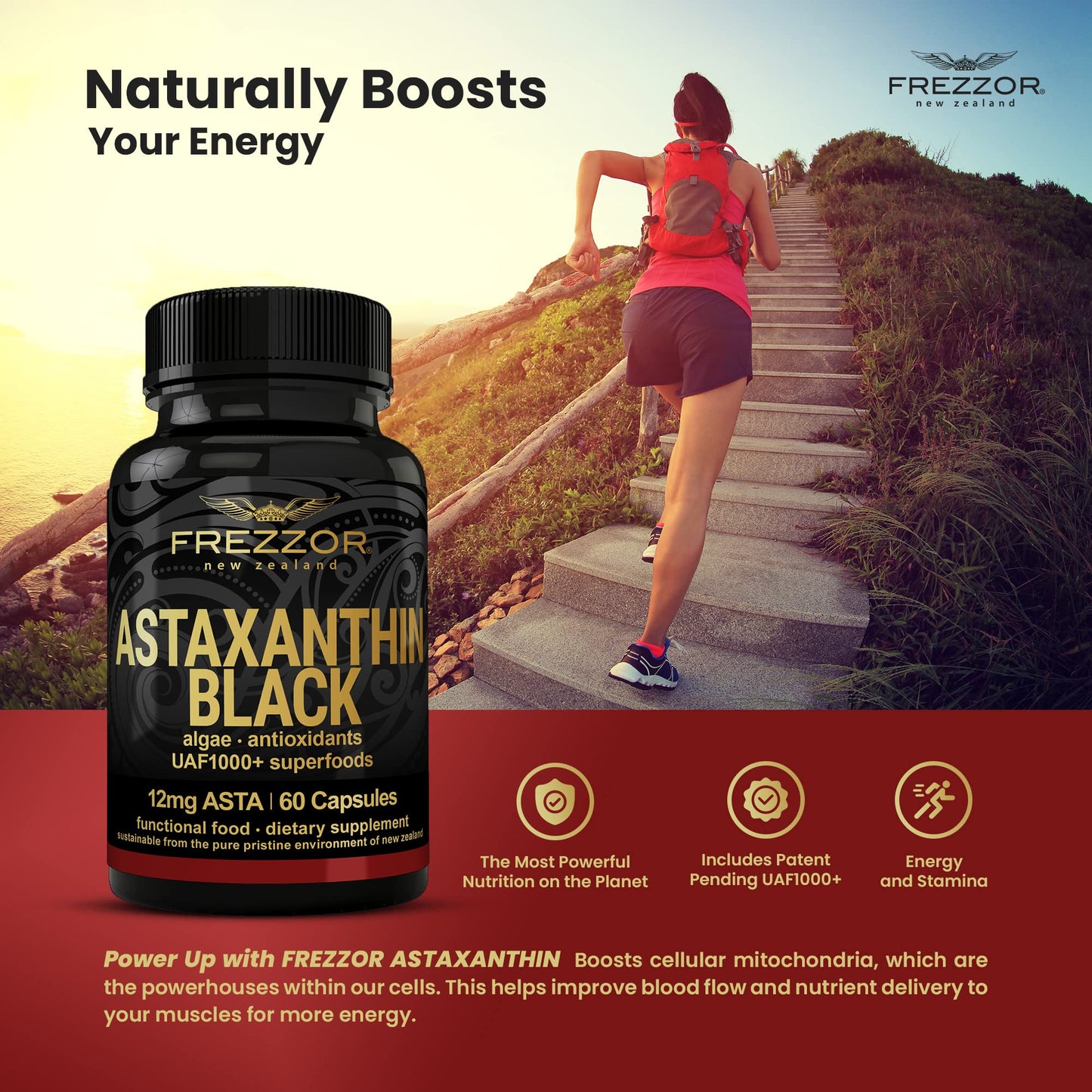 FREZZOR Astaxanthin Black 12mg โ Anti-Aging Antioxidant (60 Softgels)
