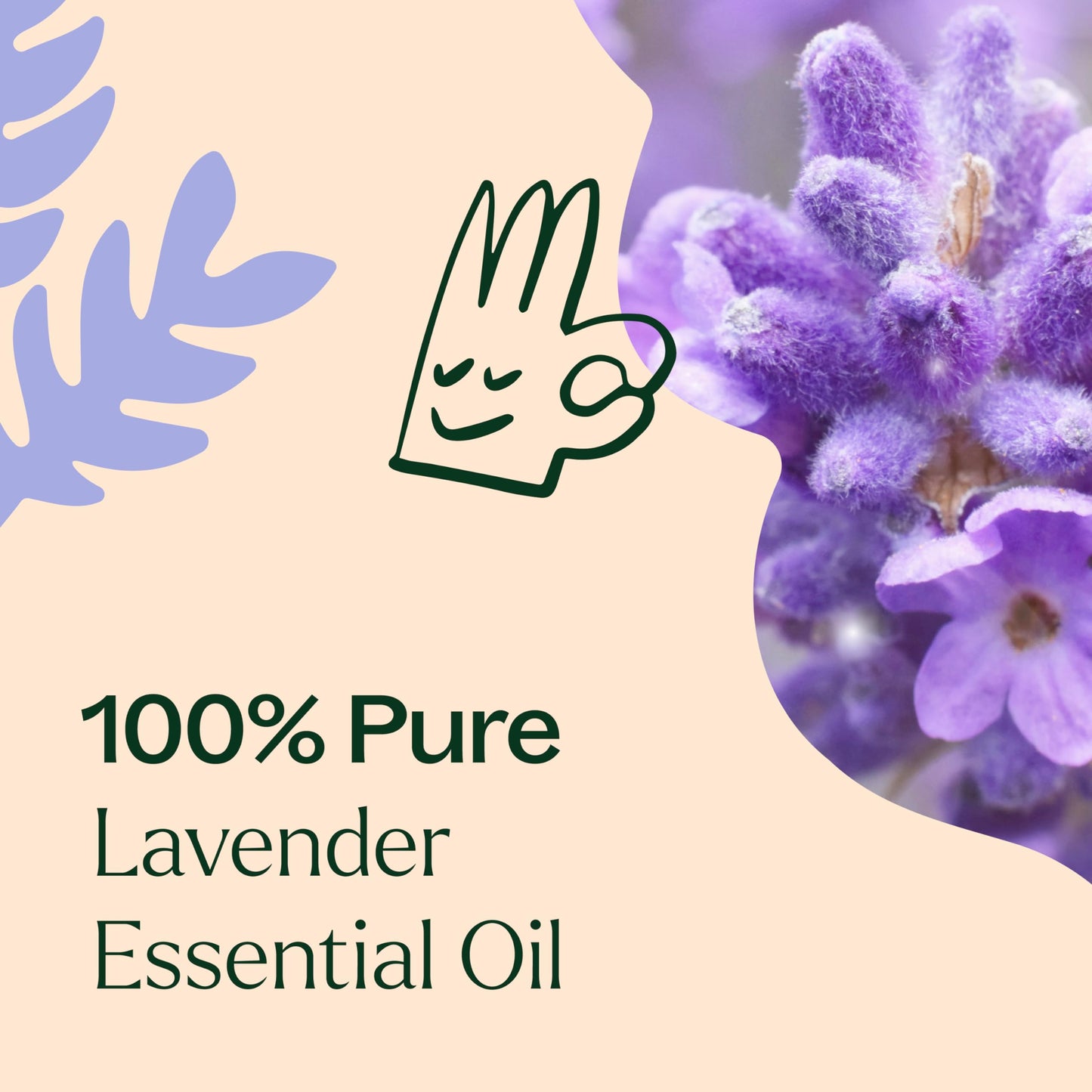 Plant Therapy Lavender Essential Oil โ 100% Pure, Pre-Diluted Roll-On, 10 mL