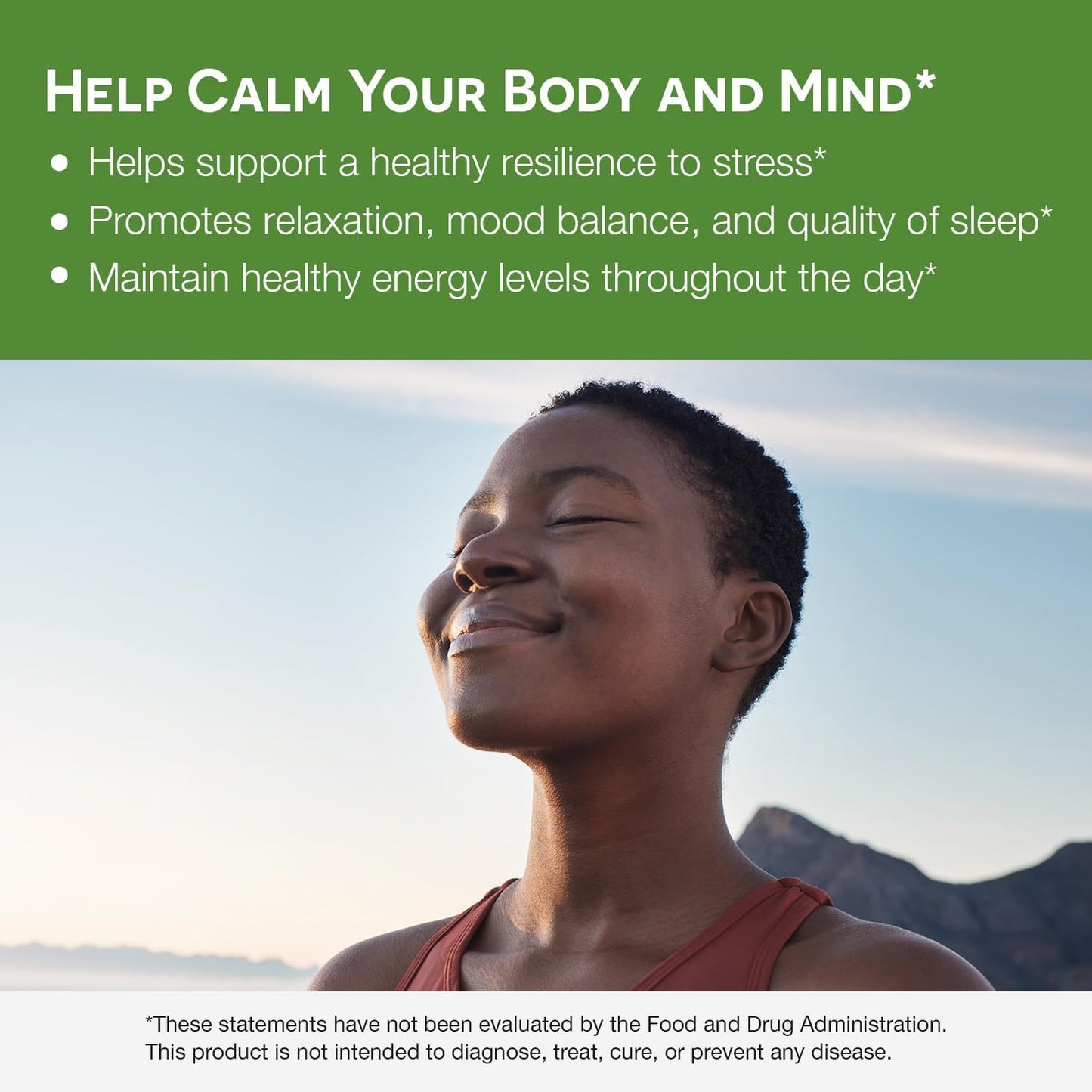 EZ Melts Dissolvable KSM-66 Ashwagandha 300 mg β Sugar-Free Stress, Sleep & Mood Support | Peppermint Chill Flavor, 30-Day Supply