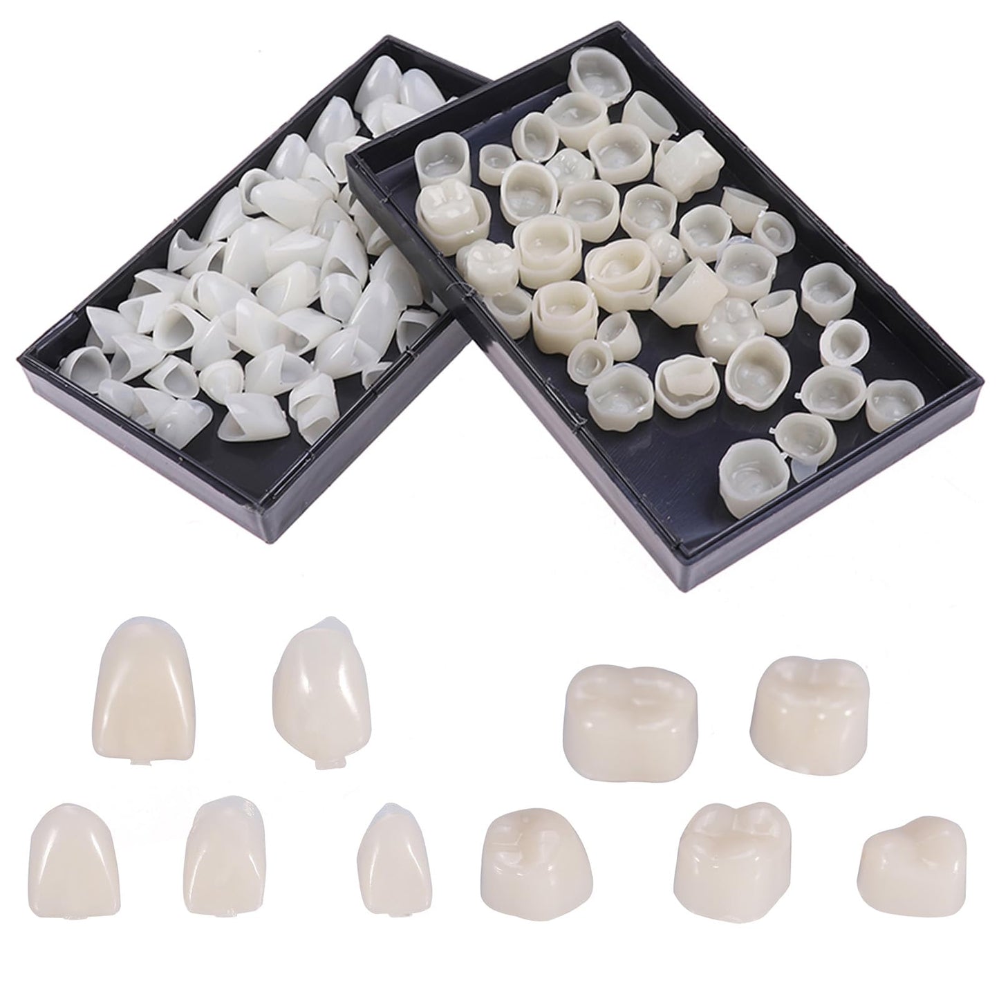 Geodurn Temporary Fake Tooth Caps & Crowns โ 120 Pcs for Teaching or DIY