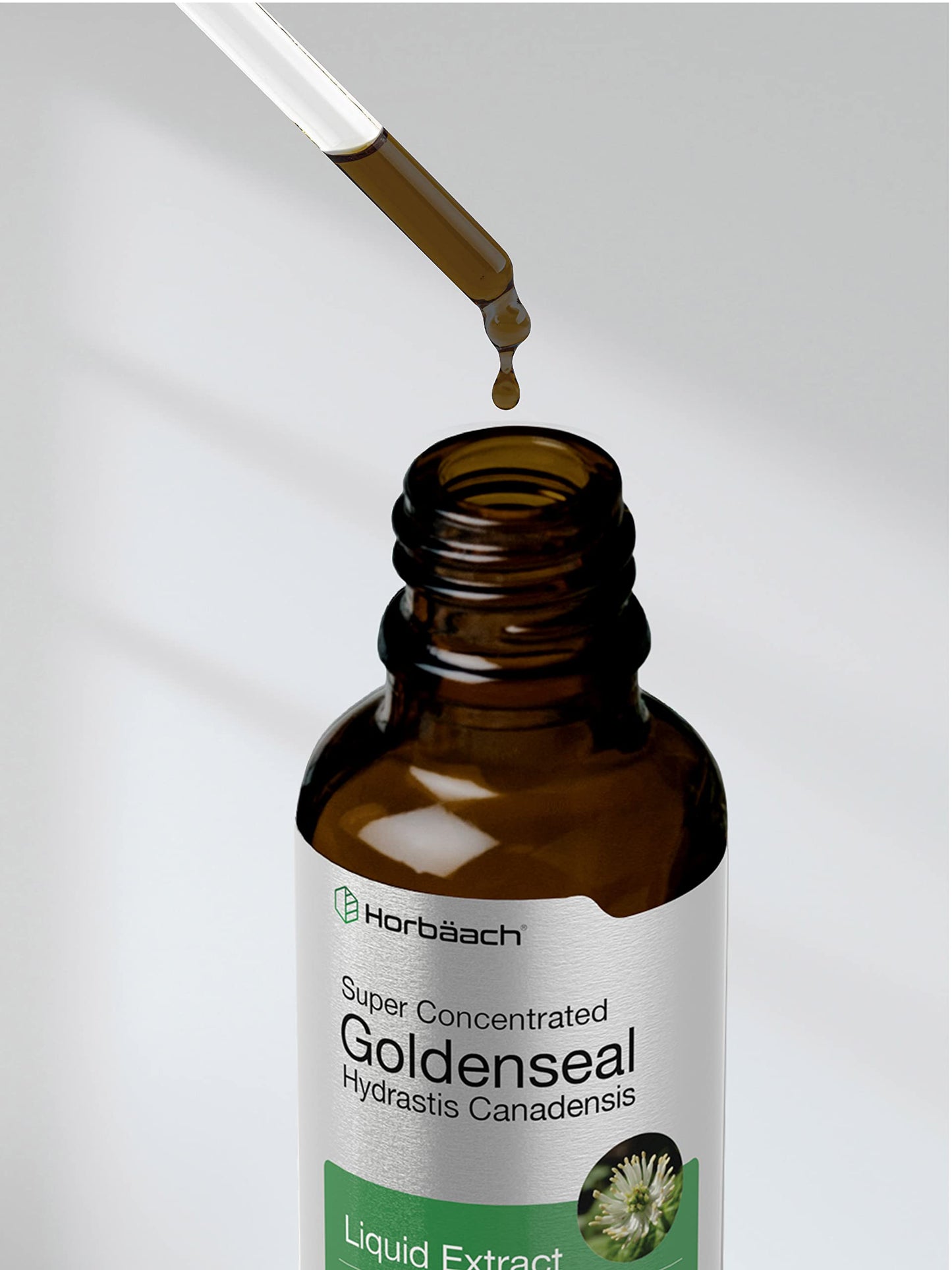 Horbaach Goldenseal Tincture Liquid Extract โ 1 fl oz | Alcohol Free