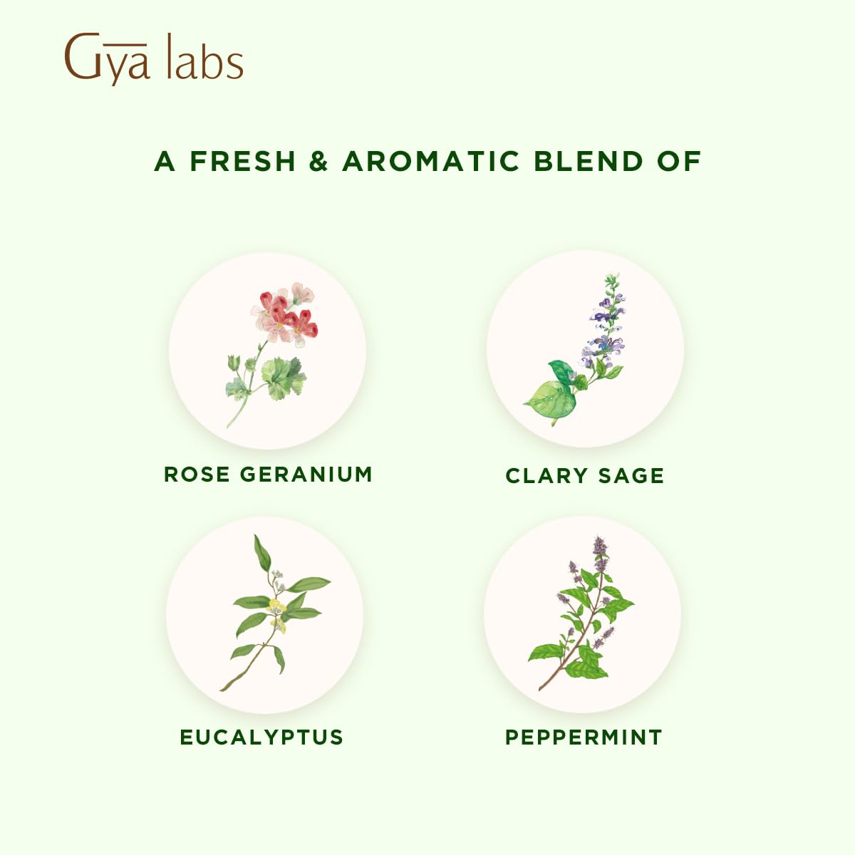 Gya Labs Focus Booster Essential Oil Blend โ Fresh Mint Scent (0.34 fl oz)