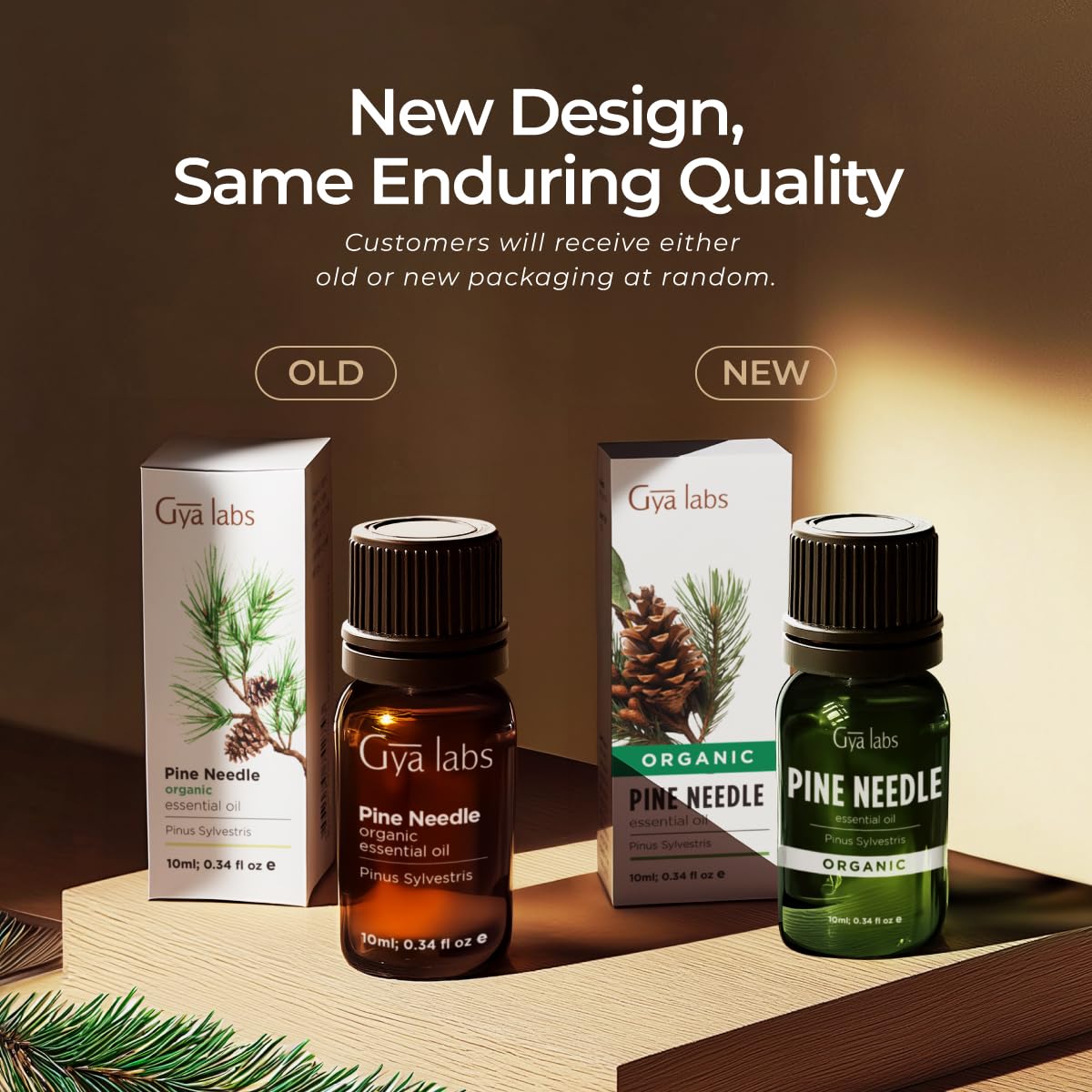 Gya Labs Organic Pine Needle Essential Oil โ 0.34 fl oz | Diffuser, Skin, Hair, DIY Candle Making