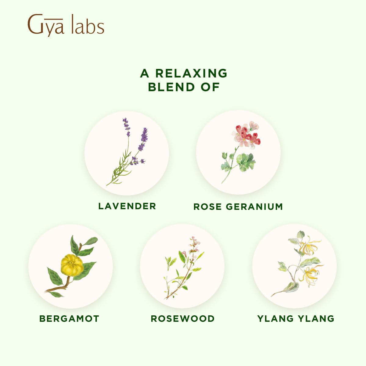 Gya Labs Rest N Relax Essential Oil Blend β Calming & Relaxing (0.34 oz)
