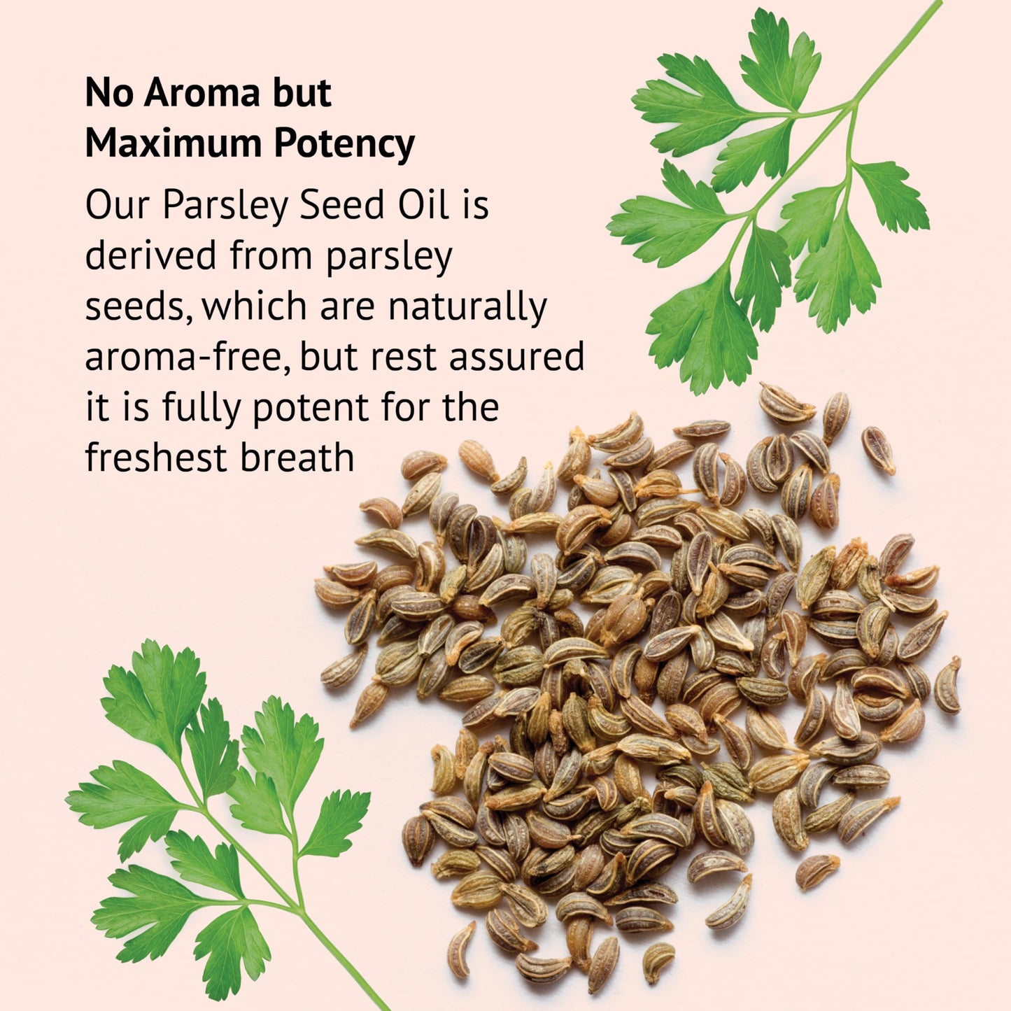Botanic Choice Parsley Seed Oil โ Bad Breath Relief from Odor-Causing Foods, 60 Softgels
