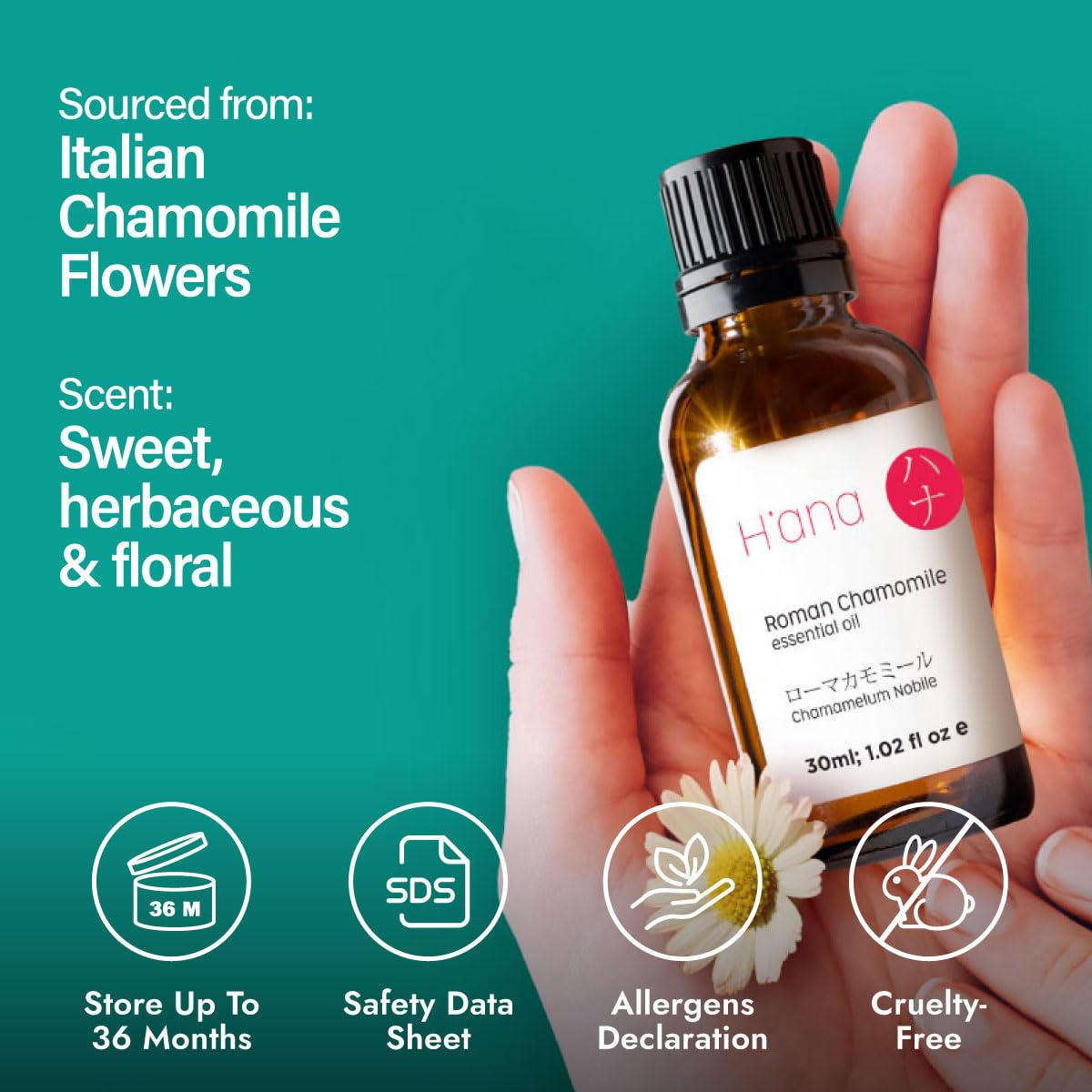 H'ana Roman Chamomile Essential Oil โ 1.02 fl oz | Hair, Skin, Diffuser, Aromatherapy, DIY Candle & Soap Making