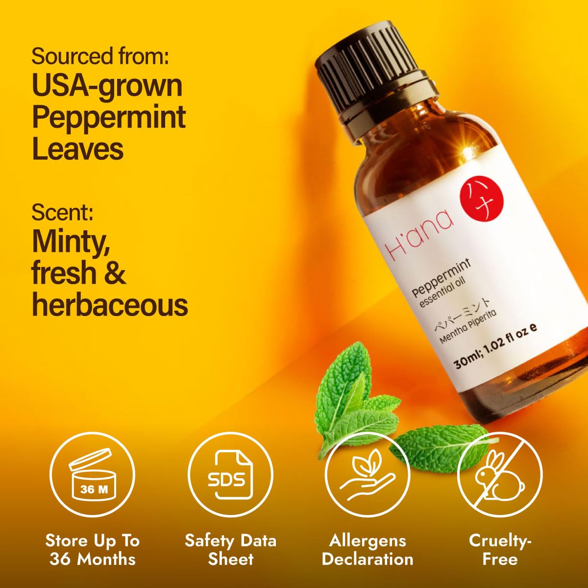 H'ana Peppermint Essential Oil 1.02 fl oz โ Hair, Skin, Diffuser & Aromatherapy