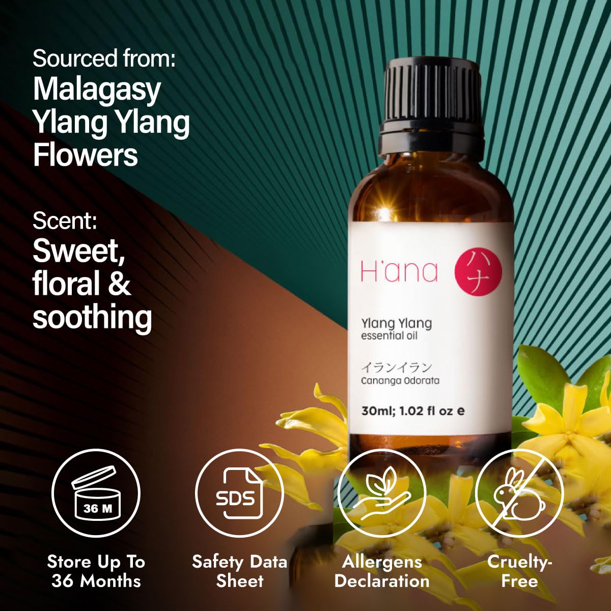 H'ana Ylang Ylang Essential Oil โ 1.02 Fl Oz | Hair, Skin, Diffuser, Aromatherapy, DIY Candle & Soap Making