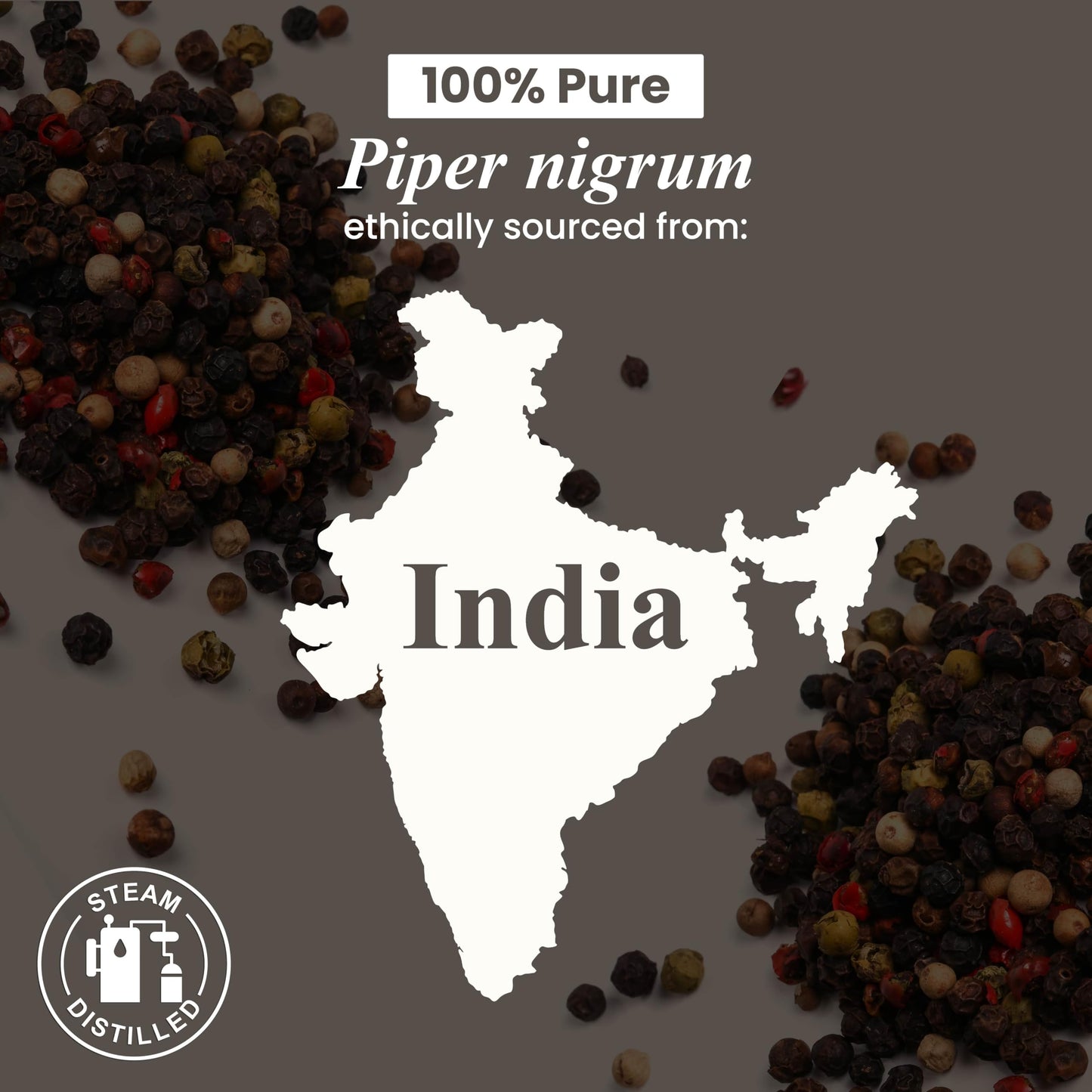 Black Pepper Essential Oil โ Handcraft Blends, 1 oz | Pure & Natural
