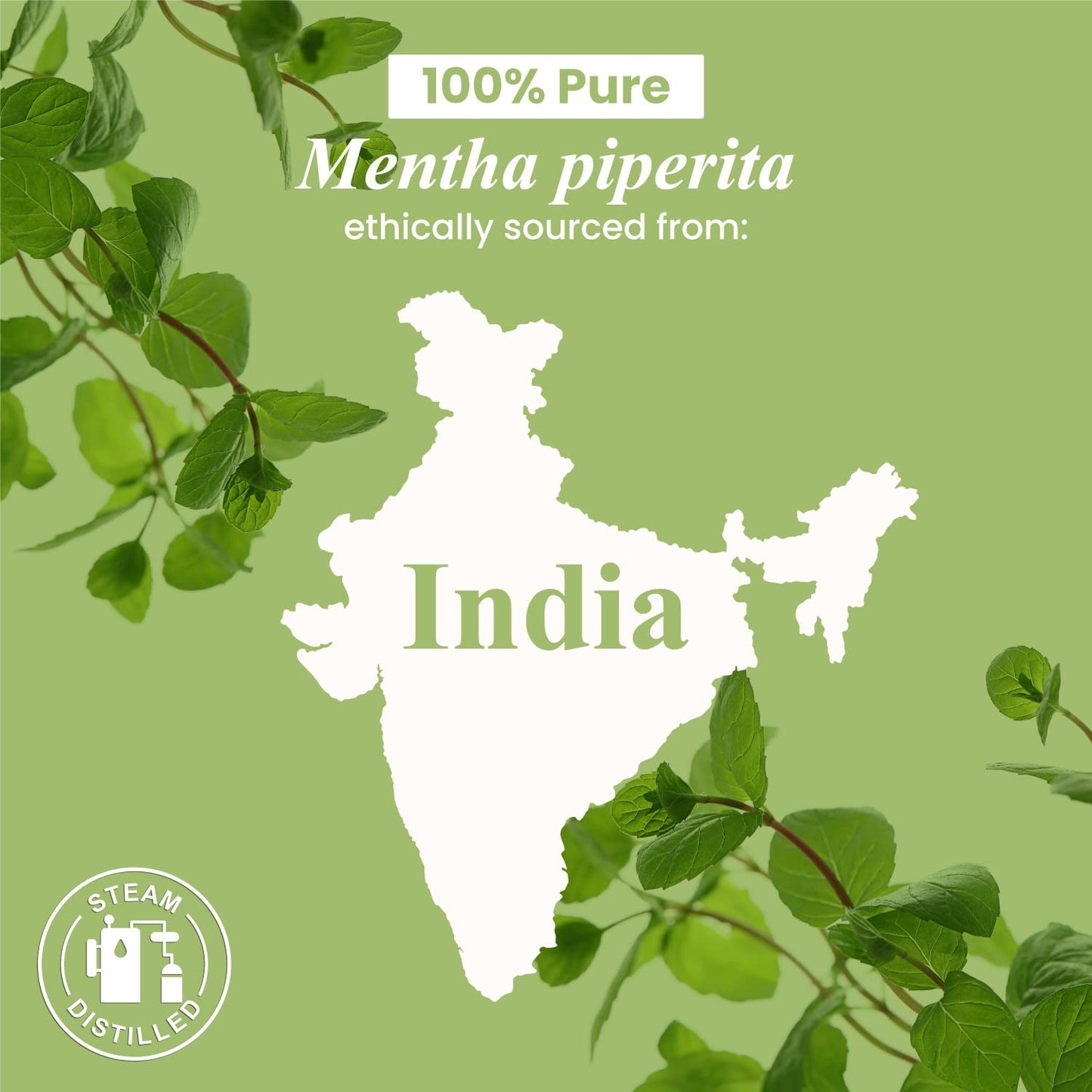 Handcraft Blends Peppermint Essential Oil โ 4 oz | 100% Pure & Natural Premium Grade