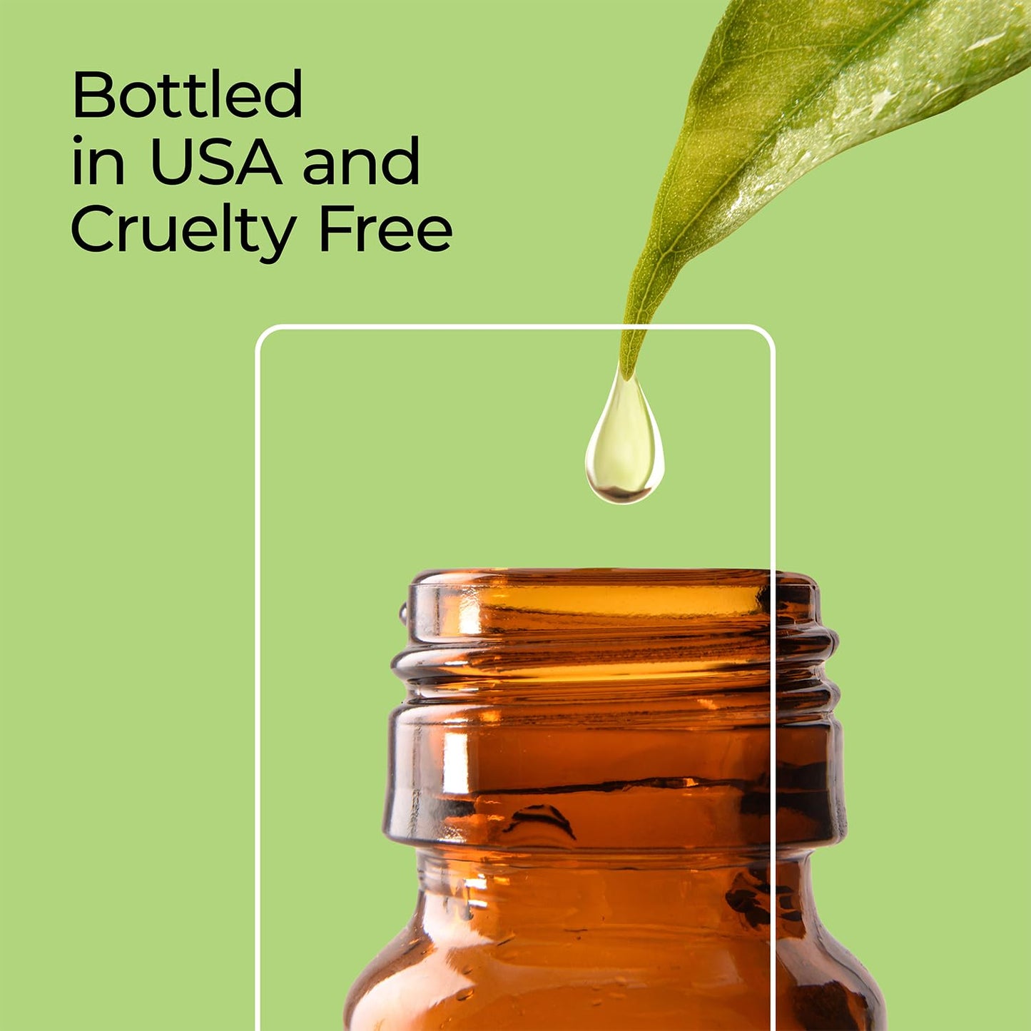 Harvest Spice Fragrance Oil 10 ml โ Good Essential for Diffuser, Candle & Soap