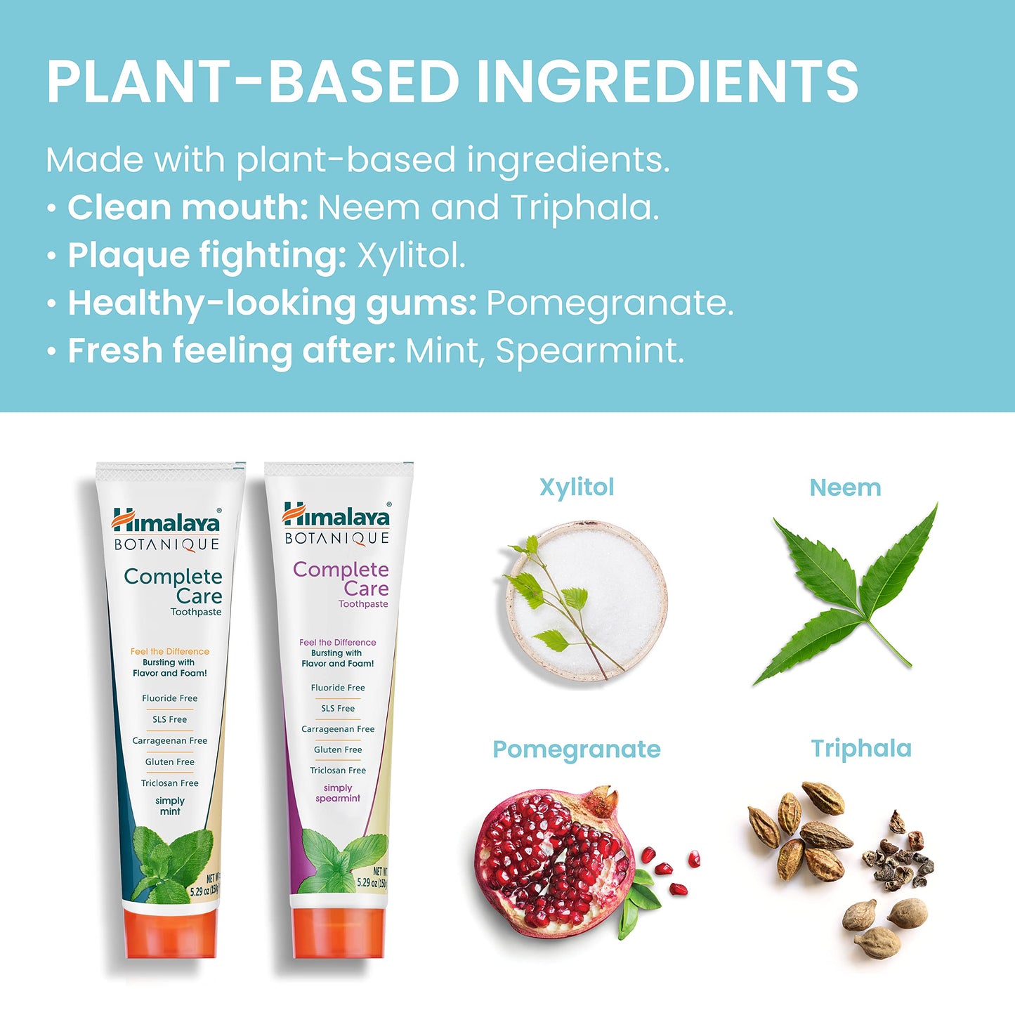 Himalaya Botanique Complete Care Toothpaste โ Herbal Mint, Fluoride Free, 5.29 oz
