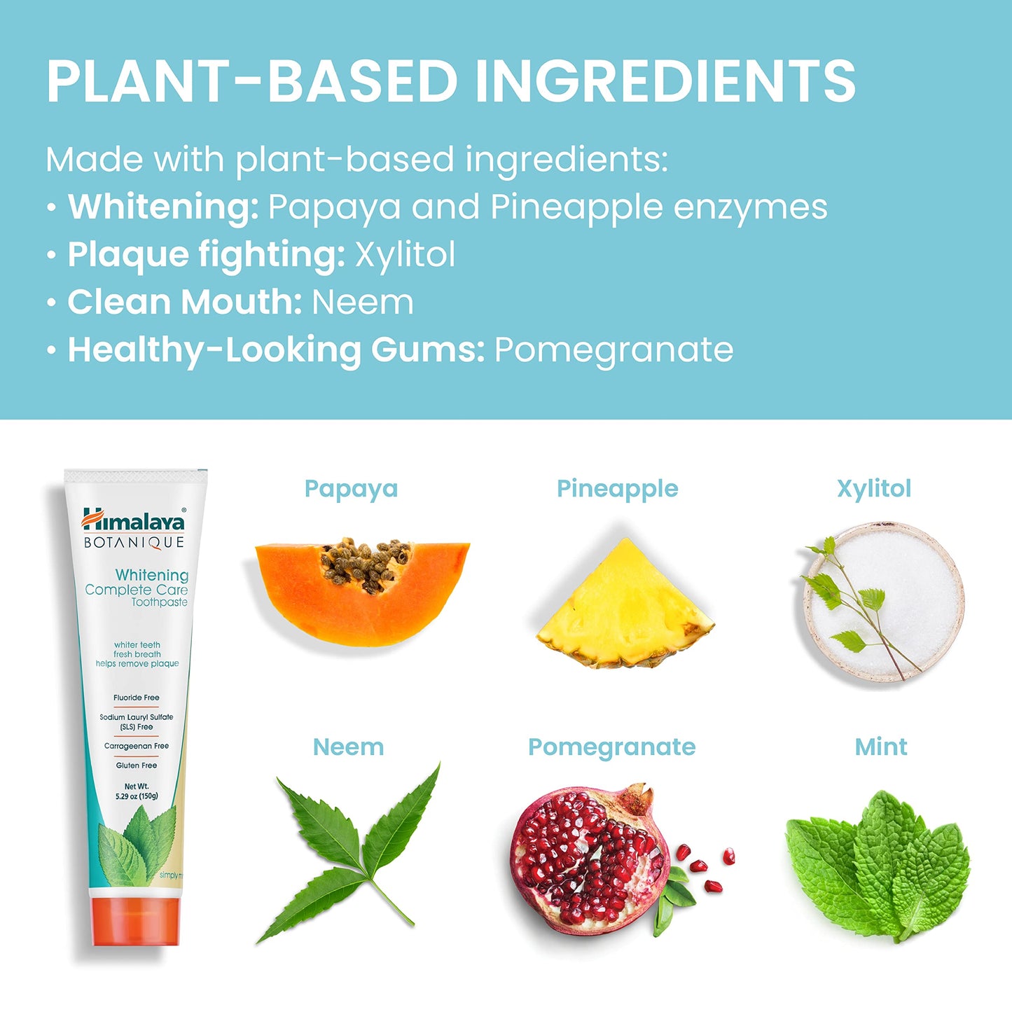 Himalaya Botanique Complete Care Whitening Toothpaste โ Simply Mint, 5.29 oz
