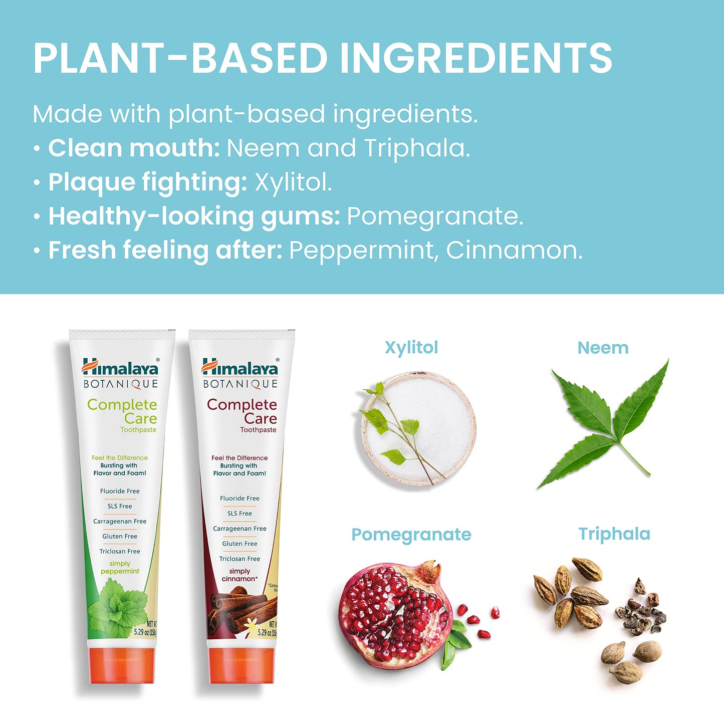 Himalaya Botanique Complete Care Toothpaste โ Herbal, Fluoride Free