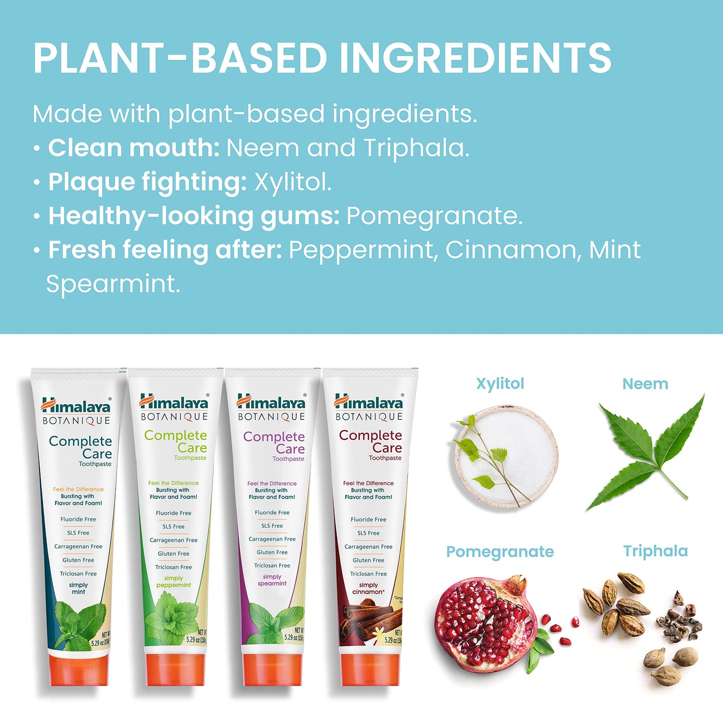 Himalaya Botanique Complete Care Toothpaste โ Herbal 4-Pack, Fluoride Free, SLS Free