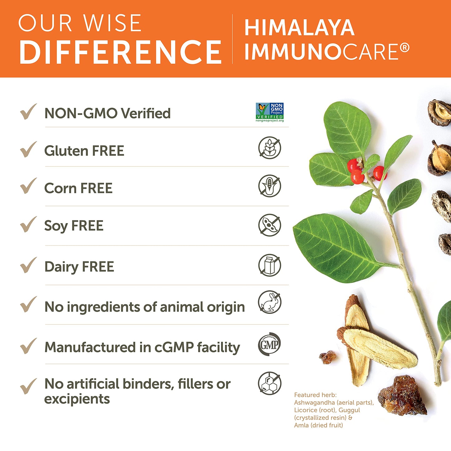 Himalaya ImmunoCare 60 Day Supply โ Herbal Immune Support (Ashwagandha & Amla) | Vegan