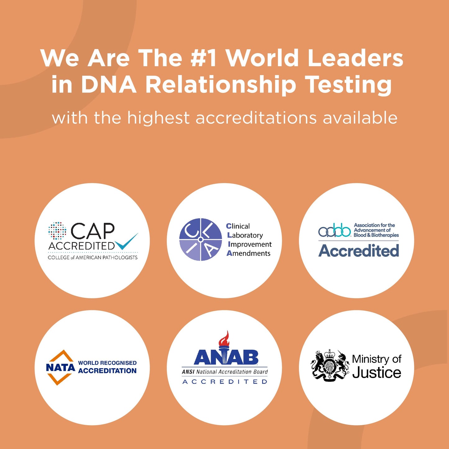 HomePaternity Aunt/Uncle DNA Test β 34 Markers, Fast Results, All Lab Fees & Shipping Included