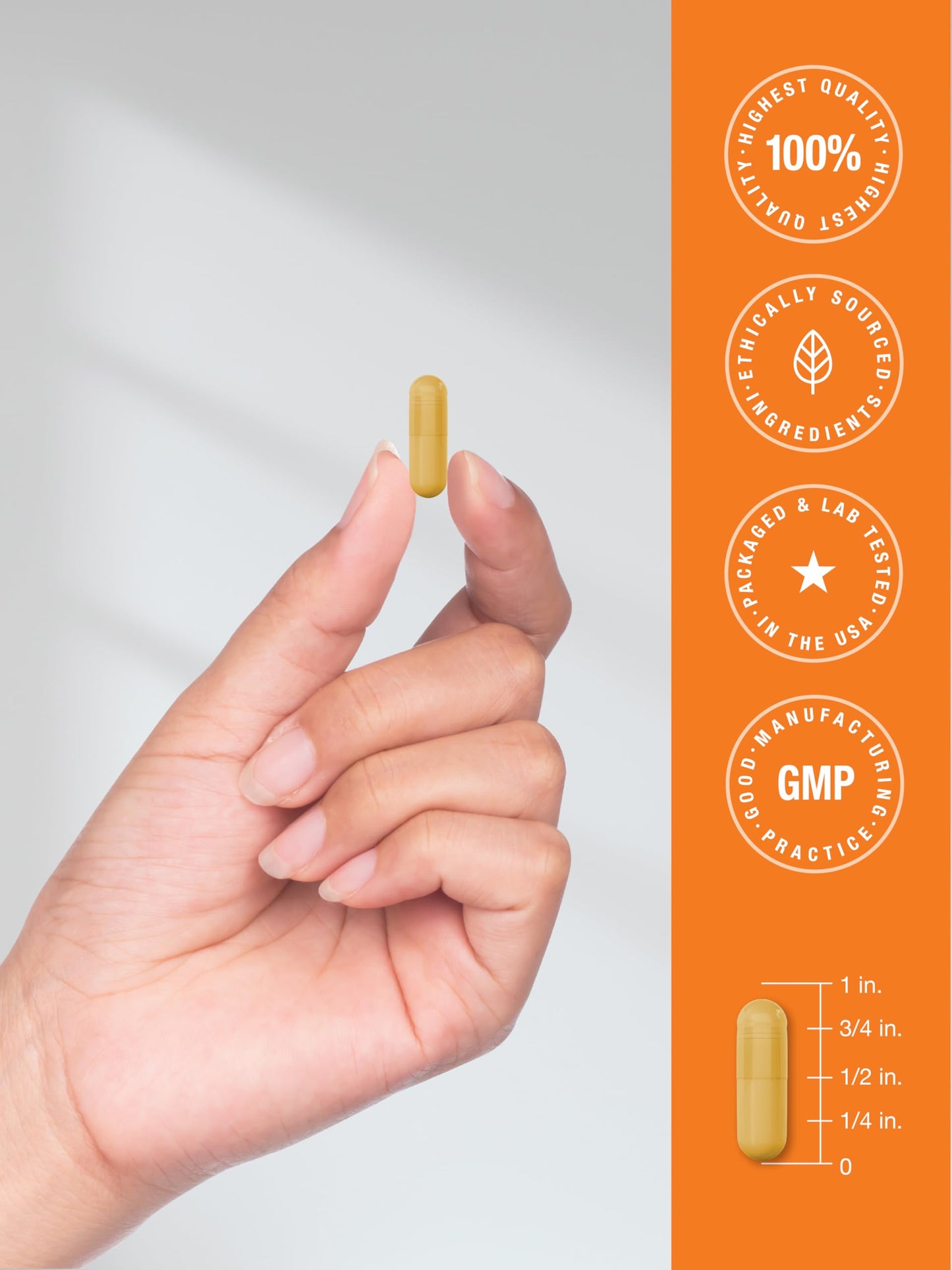 Horbäach B-100 Complex Vitamin – 60 Capsules | Non-GMO & Gluten Free