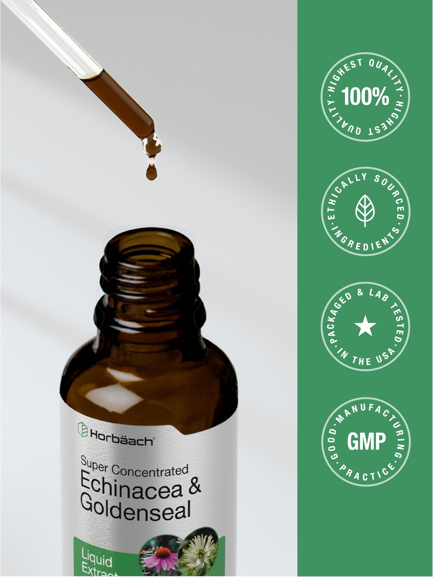 Horbaach Echinacea Goldenseal Liquid Tincture Drops โ 2 oz, Alcohol-Free, Vegetarian & Non-GMO