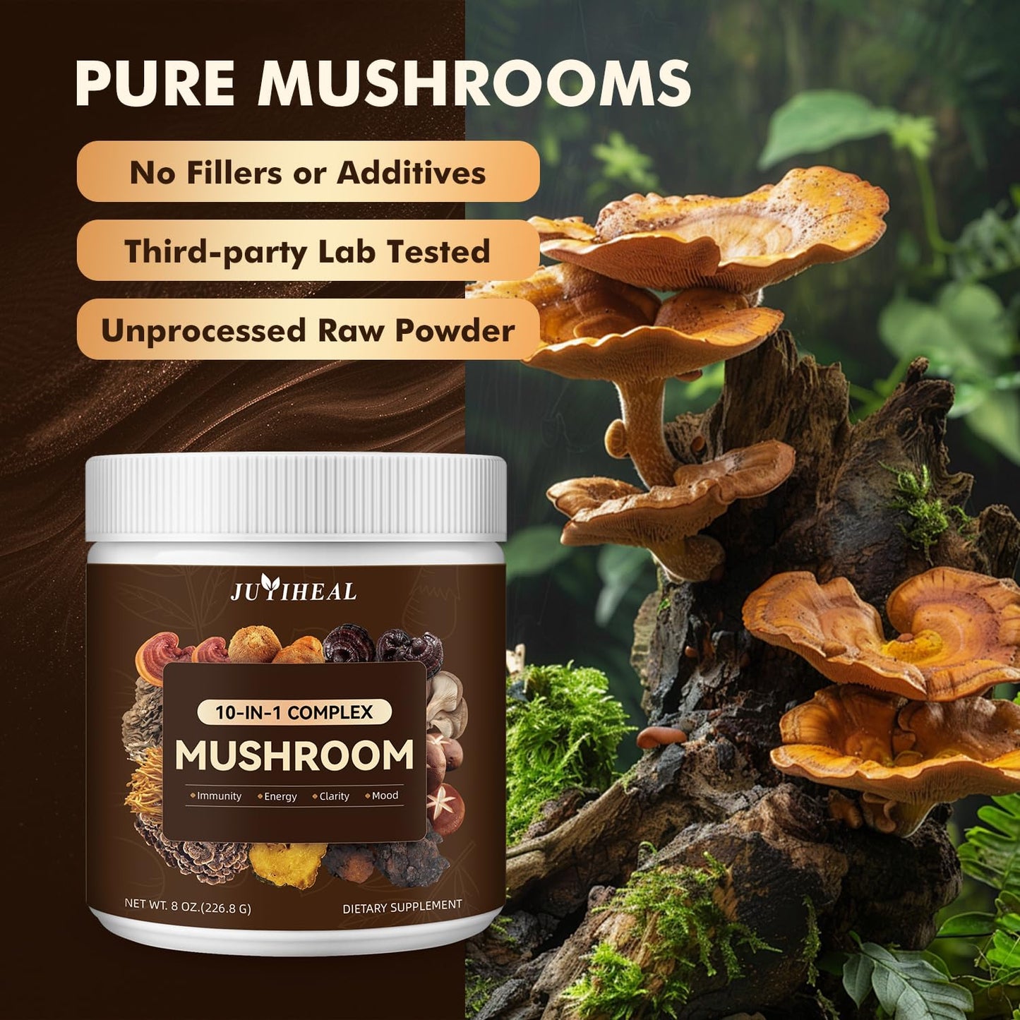 10-in-1 Mushroom Powder Complex โ Lions Mane, Reishi, Chaga, Turkey Tail | 8oz