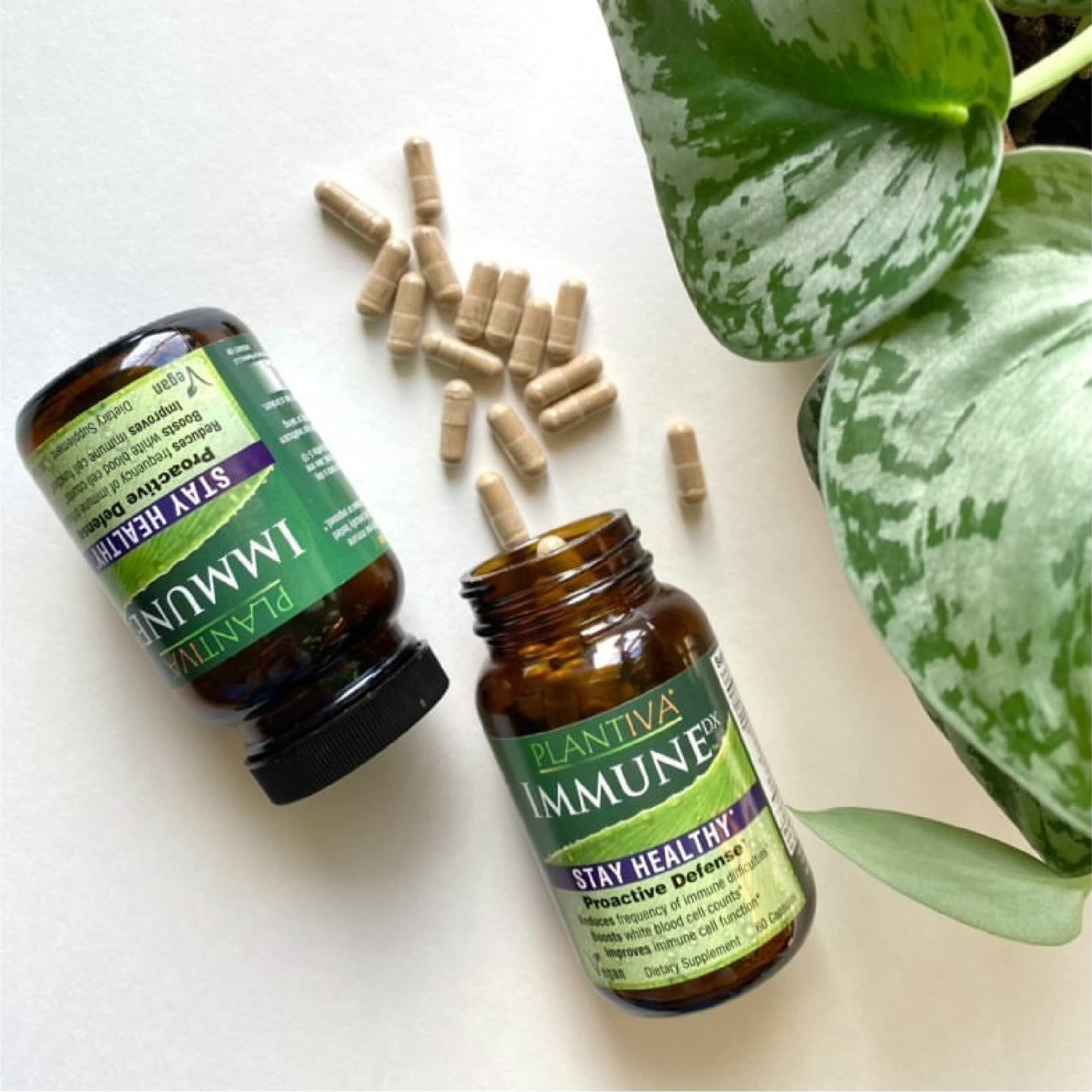 Plantiva ImmuneDx โ Vegan Immune Support, 60 Capsules