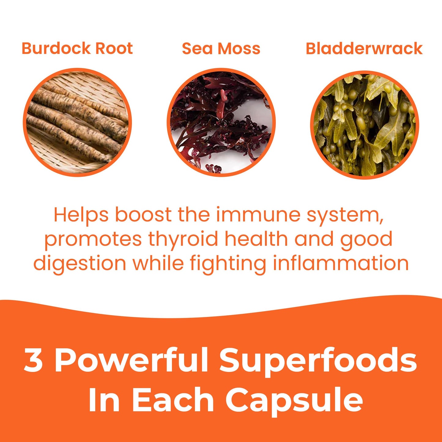 INFINITE AGE Sea Moss Capsules 3 Pack β 1250mg per serving, 180 Count, Vegan, USA Made