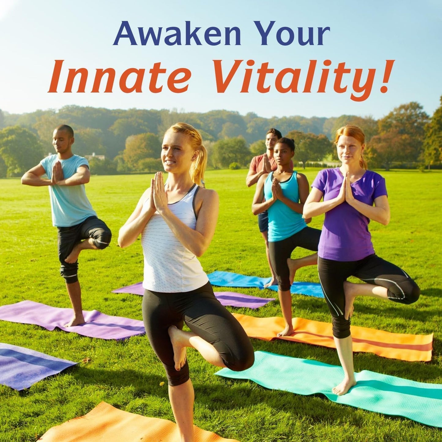 Innate Vitality 10-in-1 Magnesium Complex โ 420mg Elemental Mg per Serving | Sleep, Digestion & Energy Support | 90 Vegan Caps