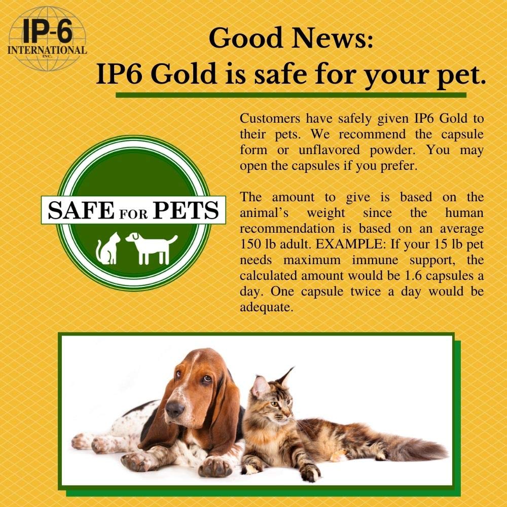 IP6 Gold IP-6 & Myo-Inositol Unflavored Powder, 308 g β Vegan & Non-GMO, Gluten Free